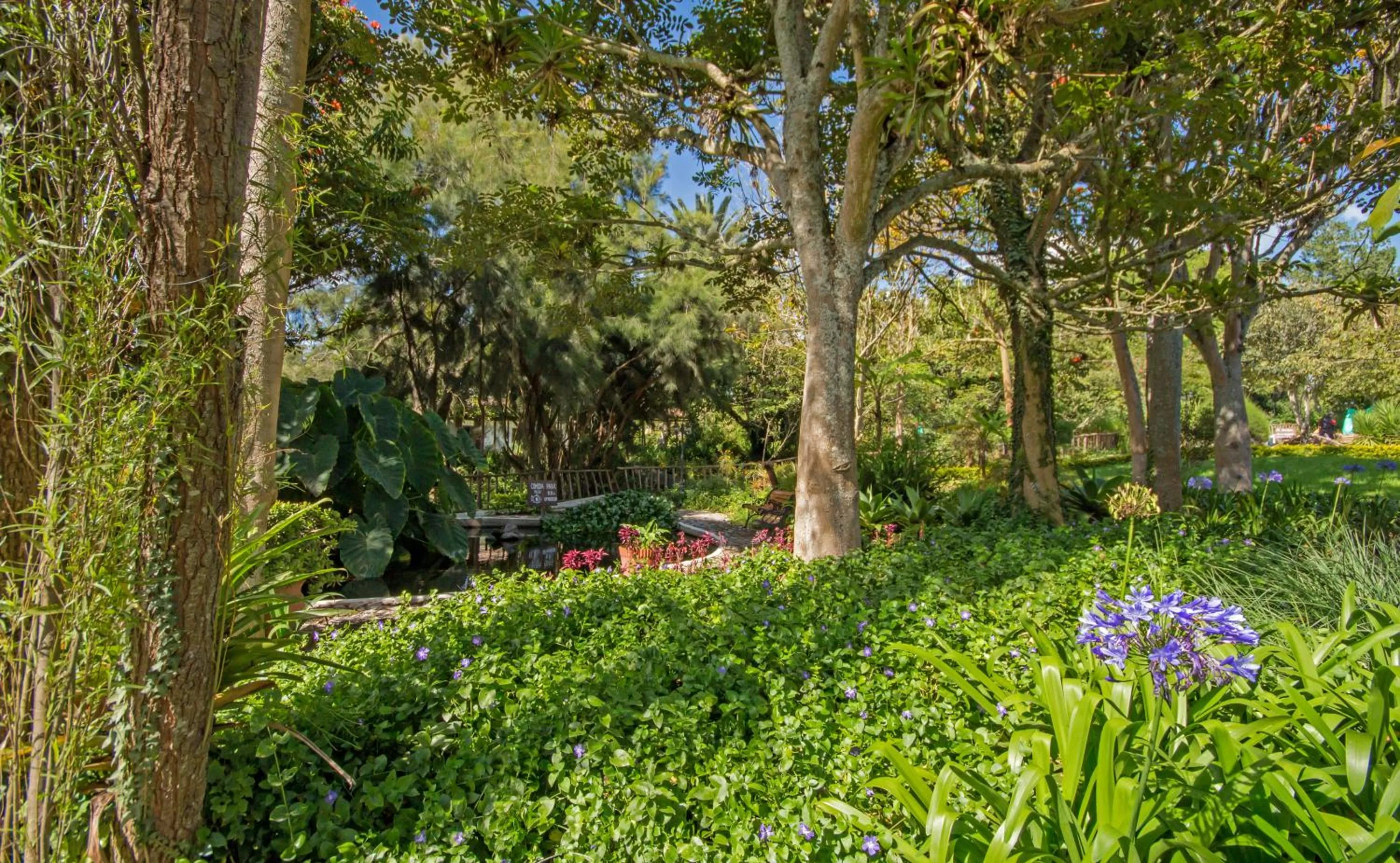 Garden in Hacienda Hosteria Chorlavi
