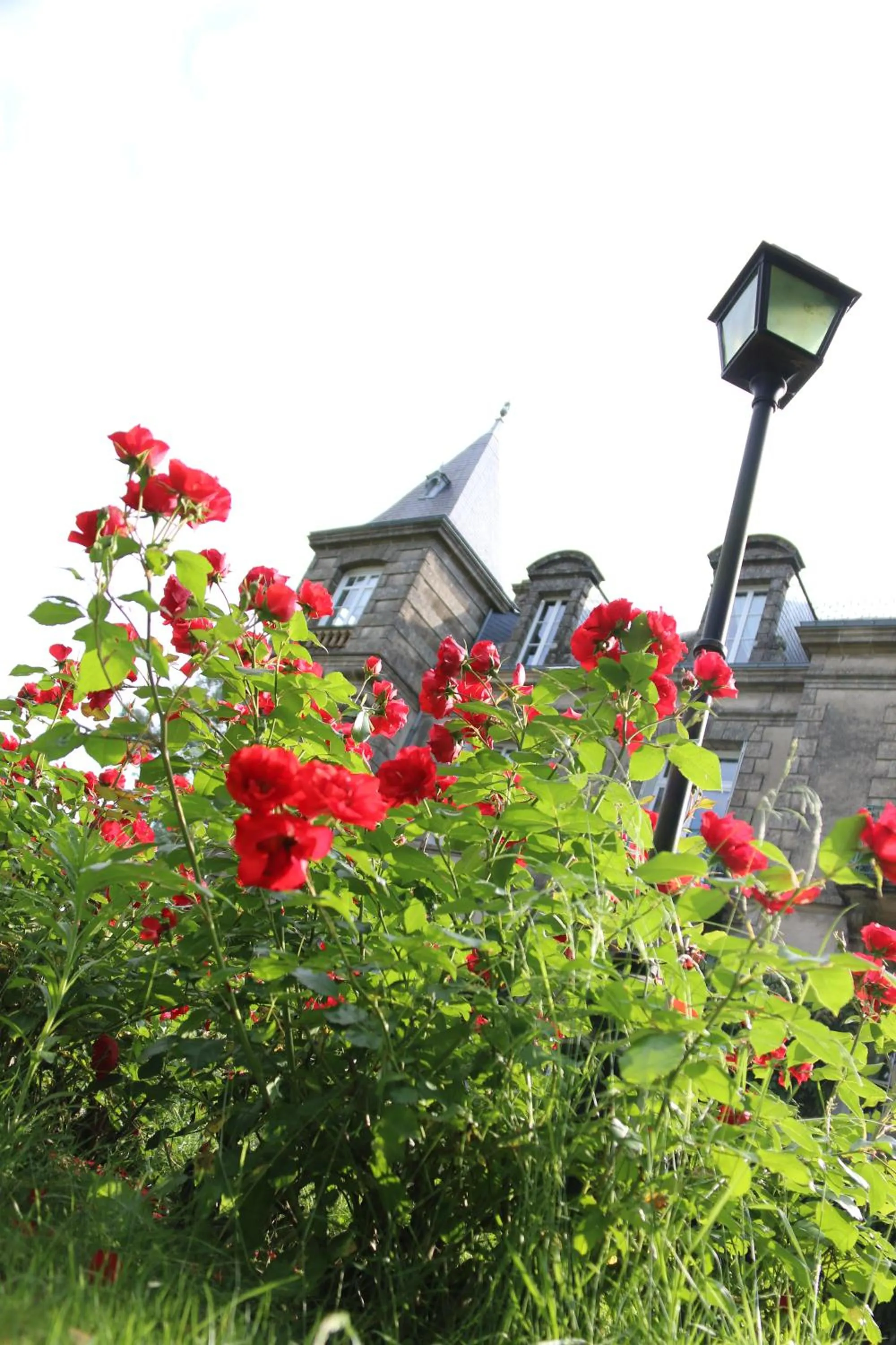 Garden in Le Château des Tourelles en Vendée