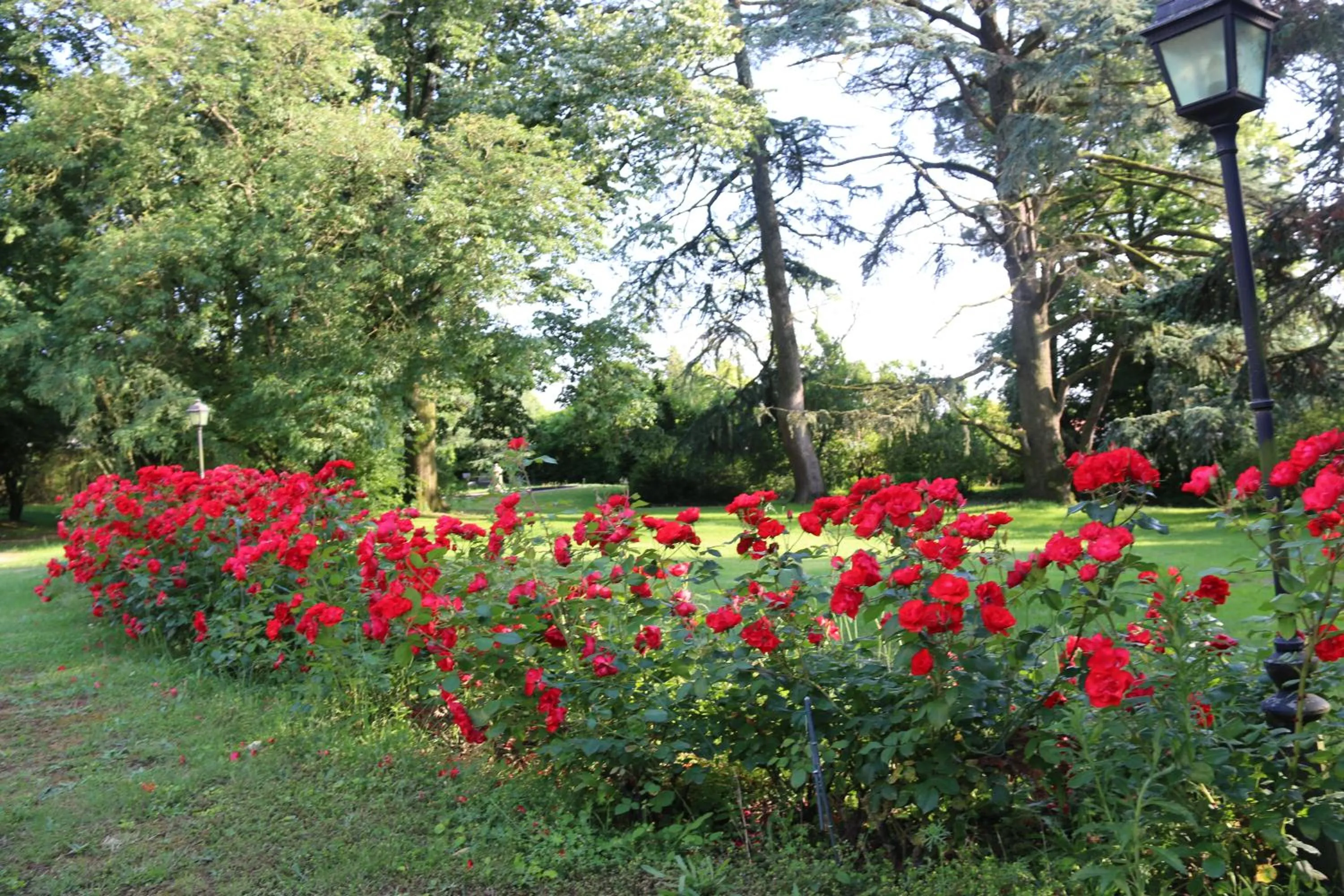 Garden in Le Château des Tourelles en Vendée