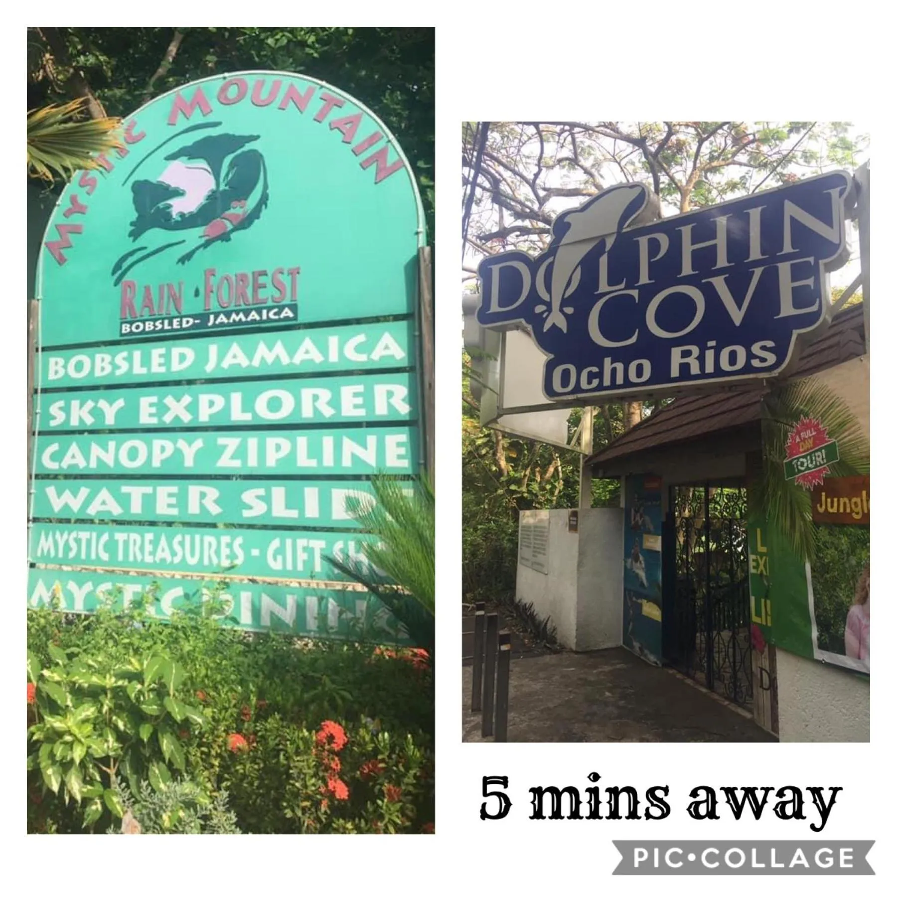 Entertainment in Mystic Ridge Paradise