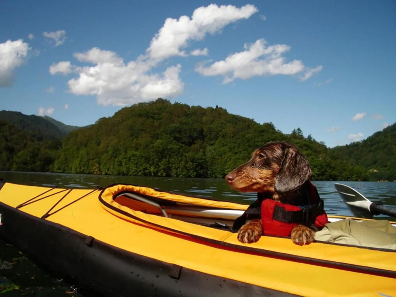 Canoeing in Ryuudo