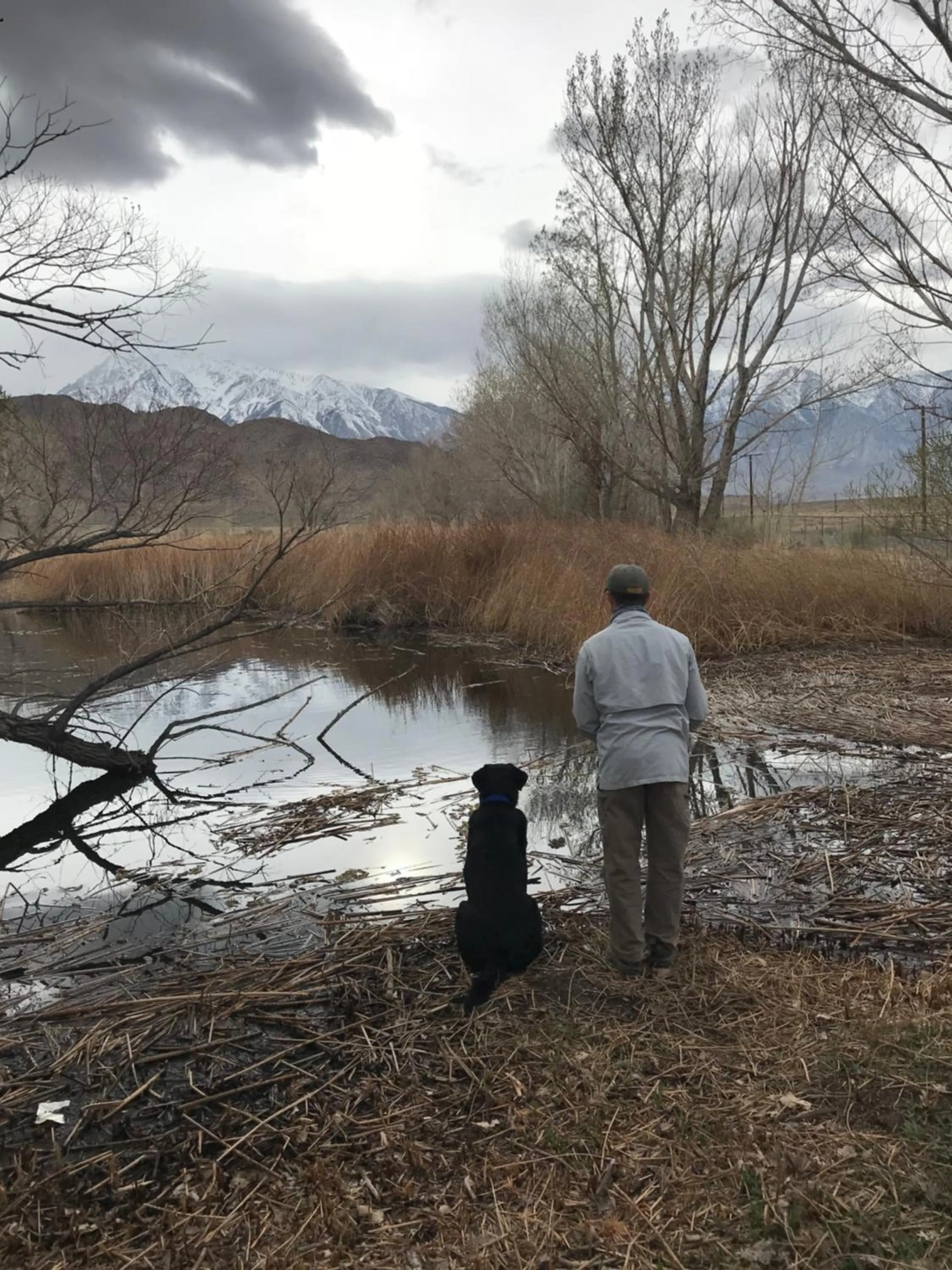 Other in Mountainback 41 Loft