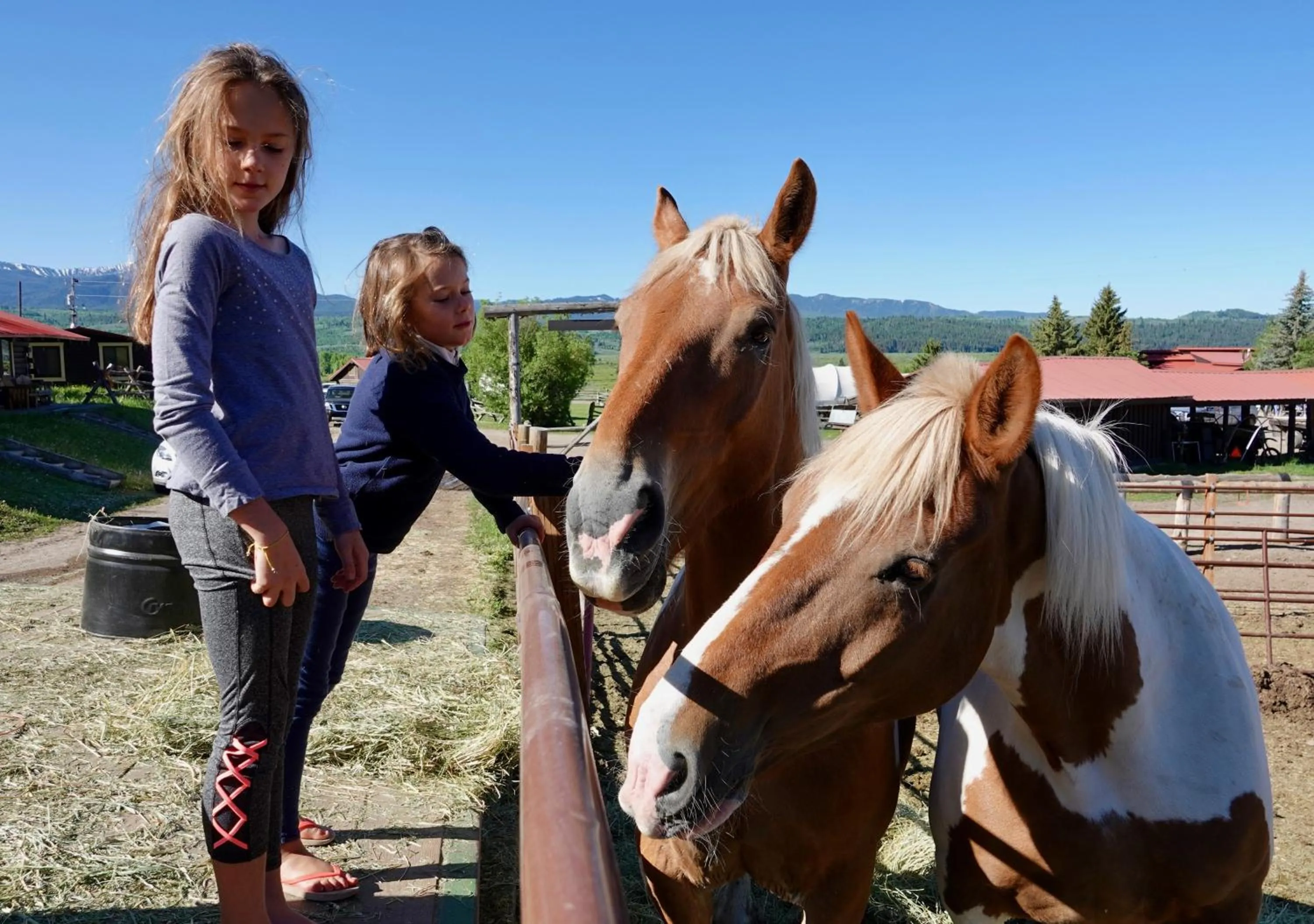 Buffalo Valley Ranch