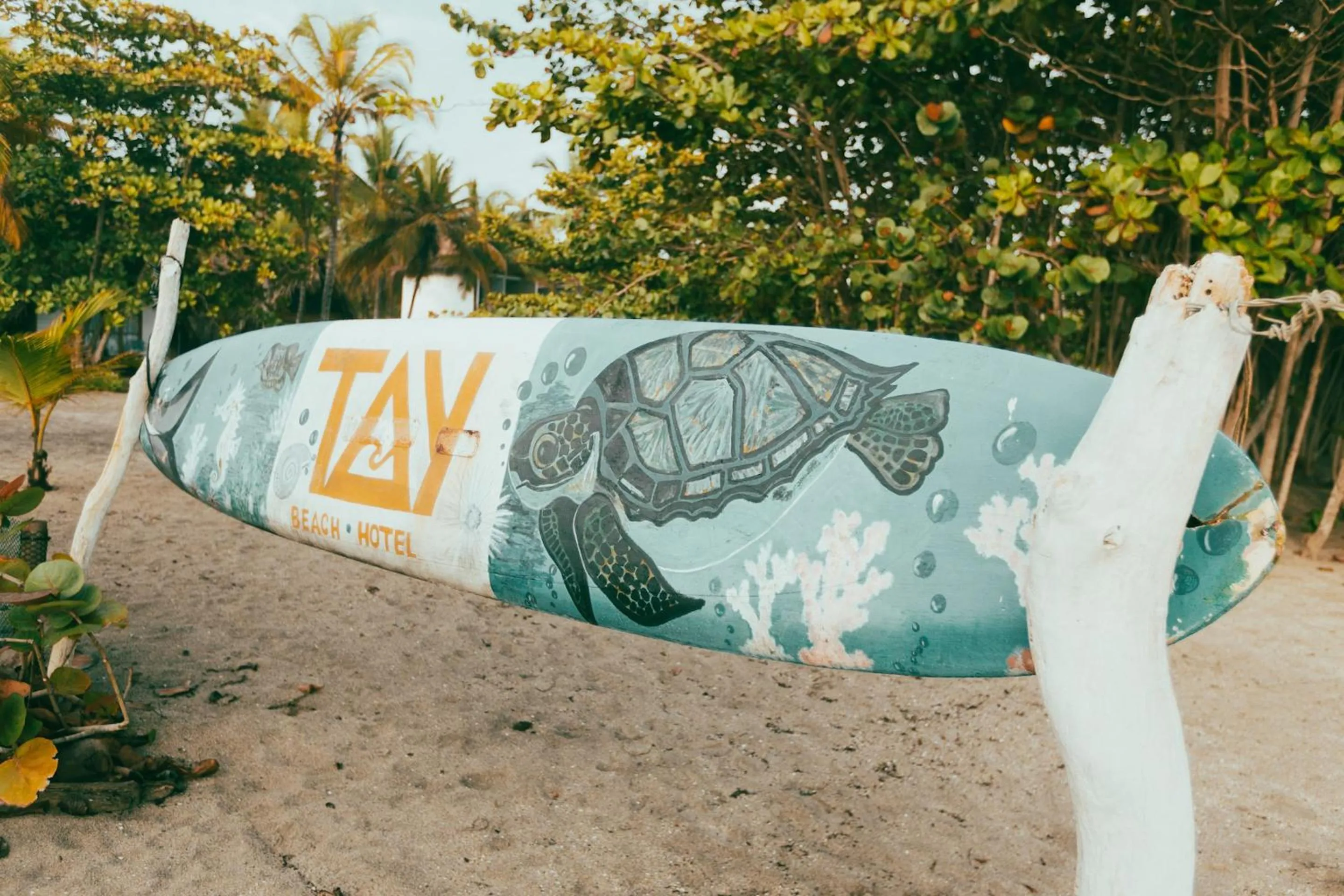 Decorative detail in Tay Beach Hotel Tayrona