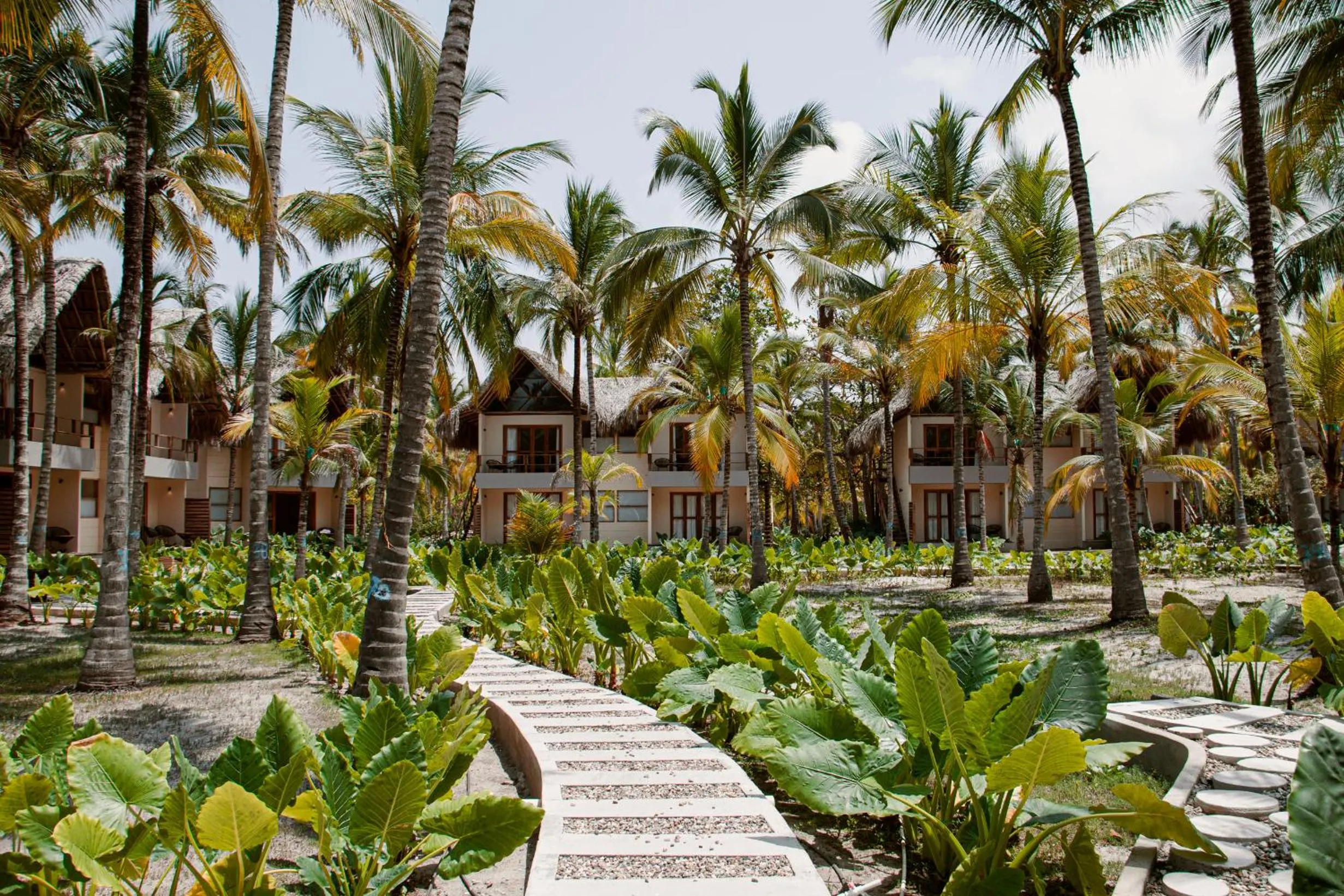 Garden view in Tay Beach Hotel Tayrona