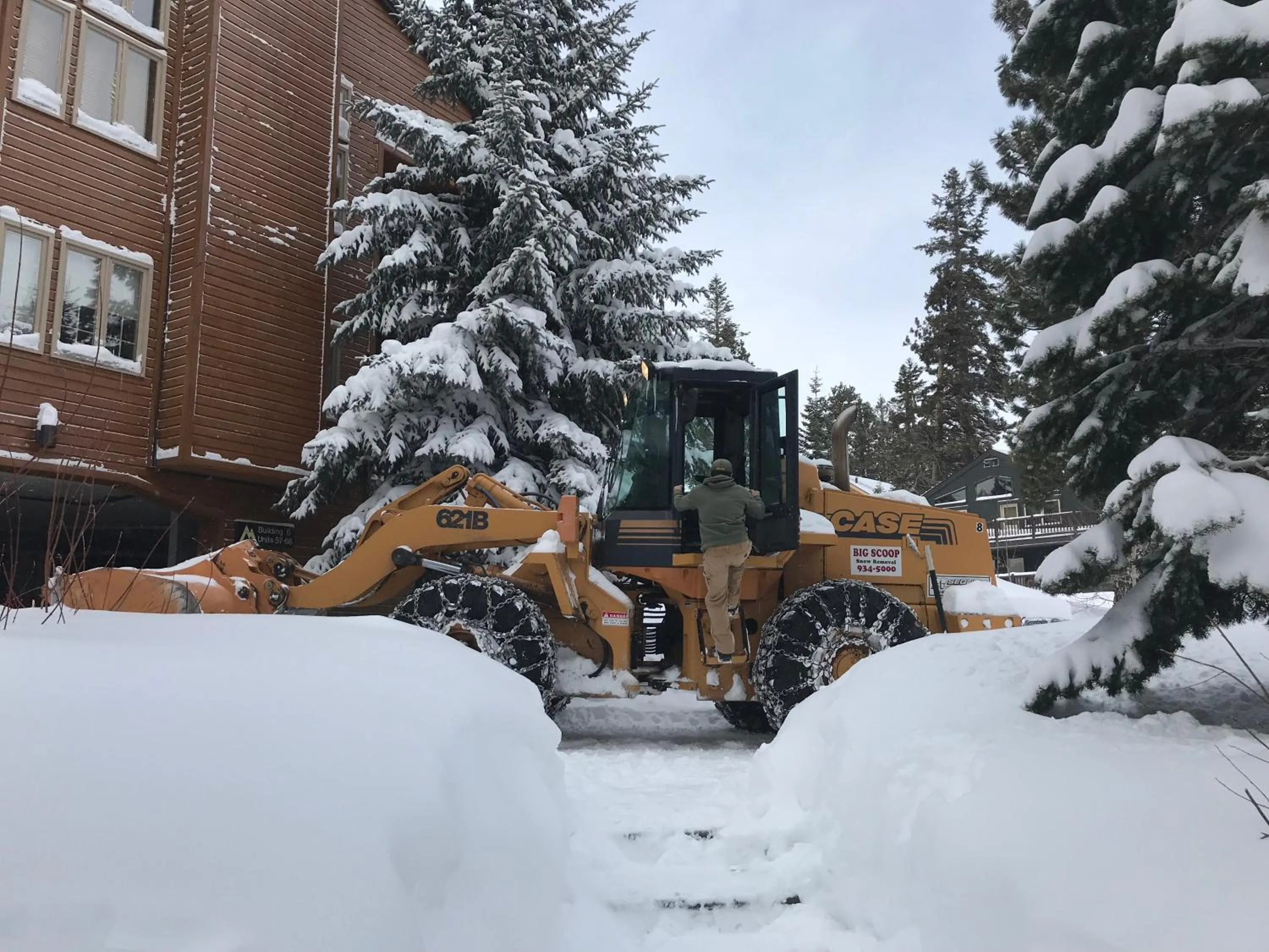 Other in Mountainback 17 Den