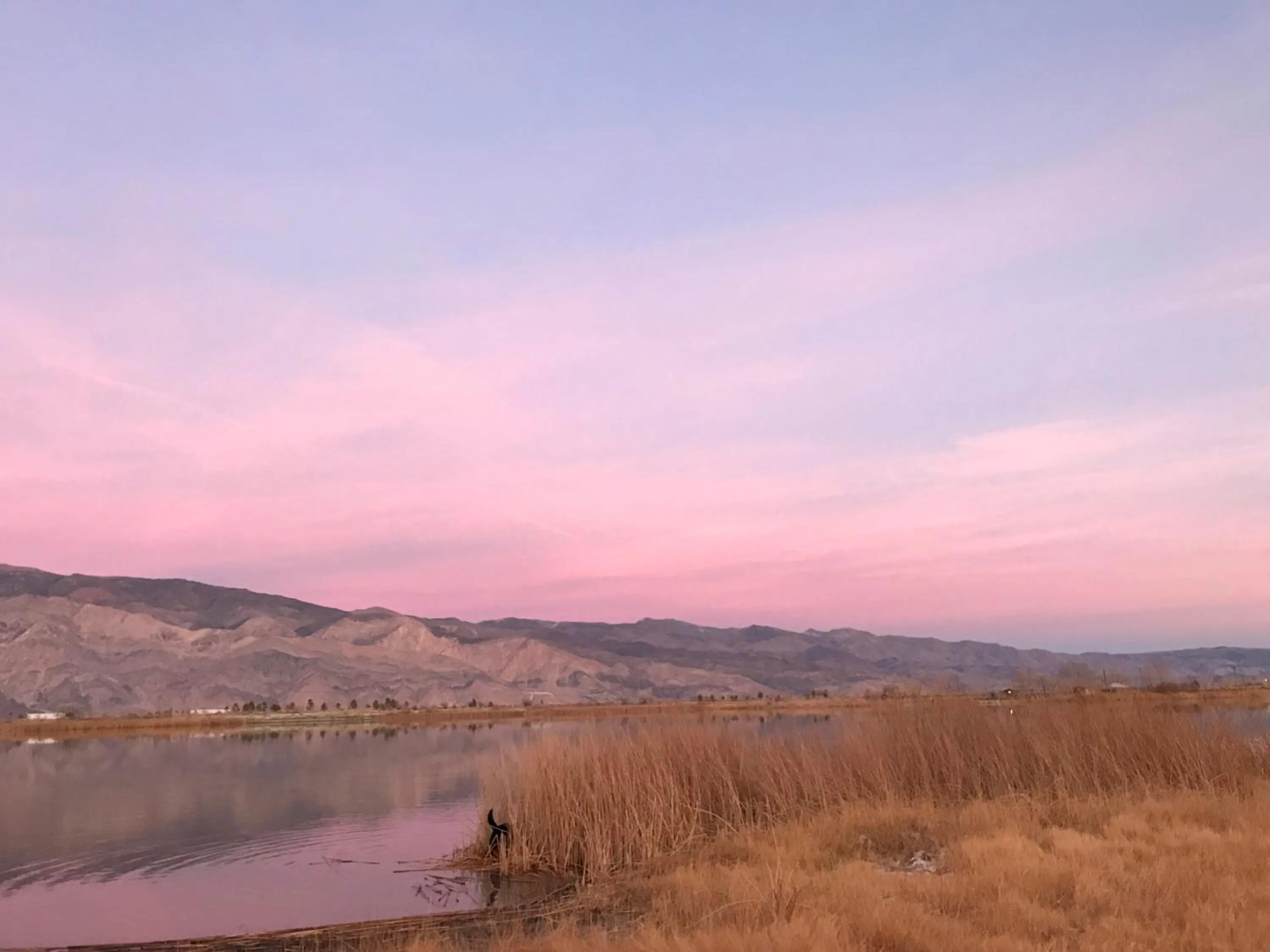 Other in Mountainback #52, Loft, Corner