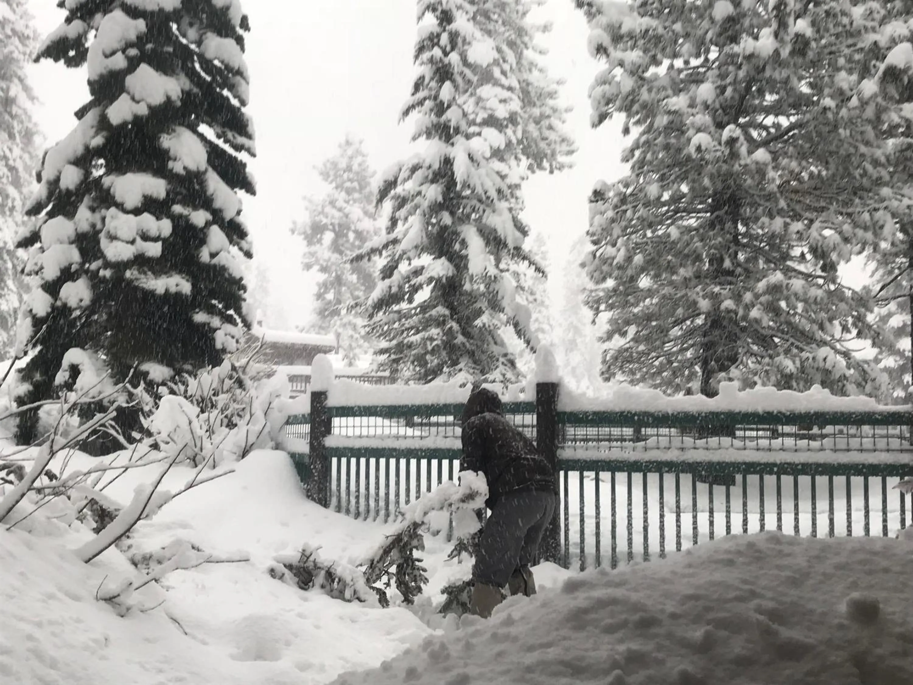 Other in Mountainback 53 Loft