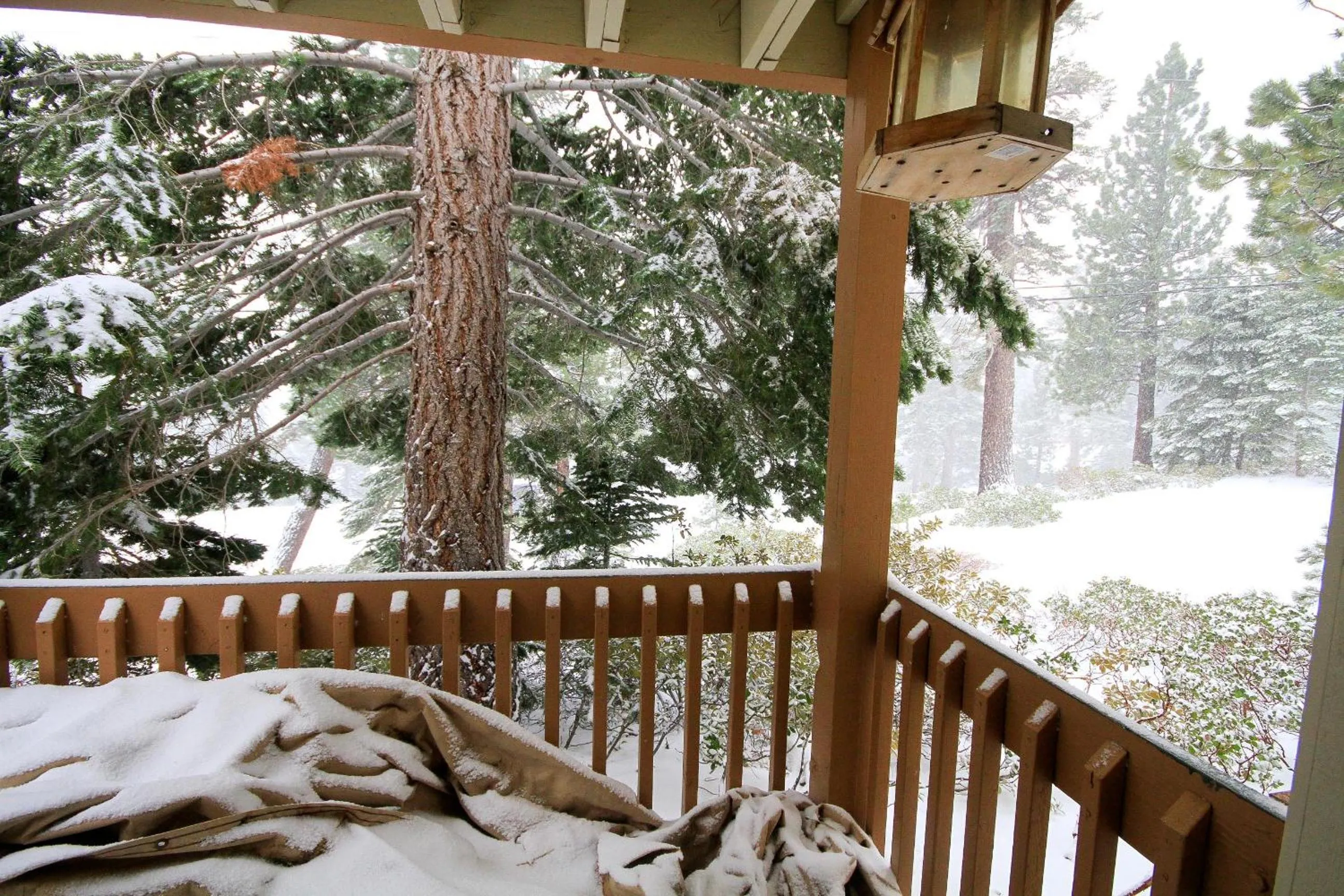 Other in Discovery 4 117