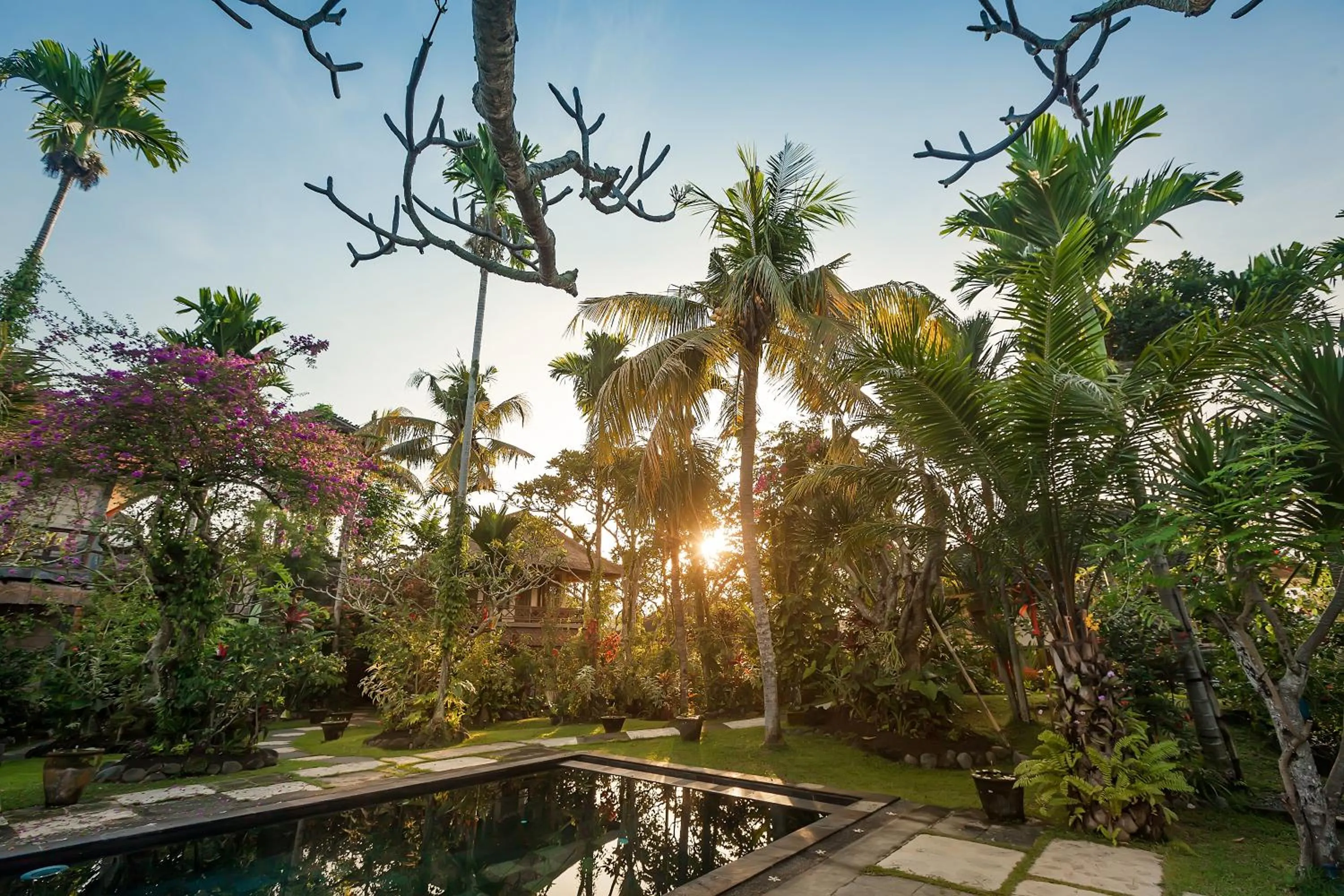 Natural landscape in Ubud Inn Cottage by Prasi