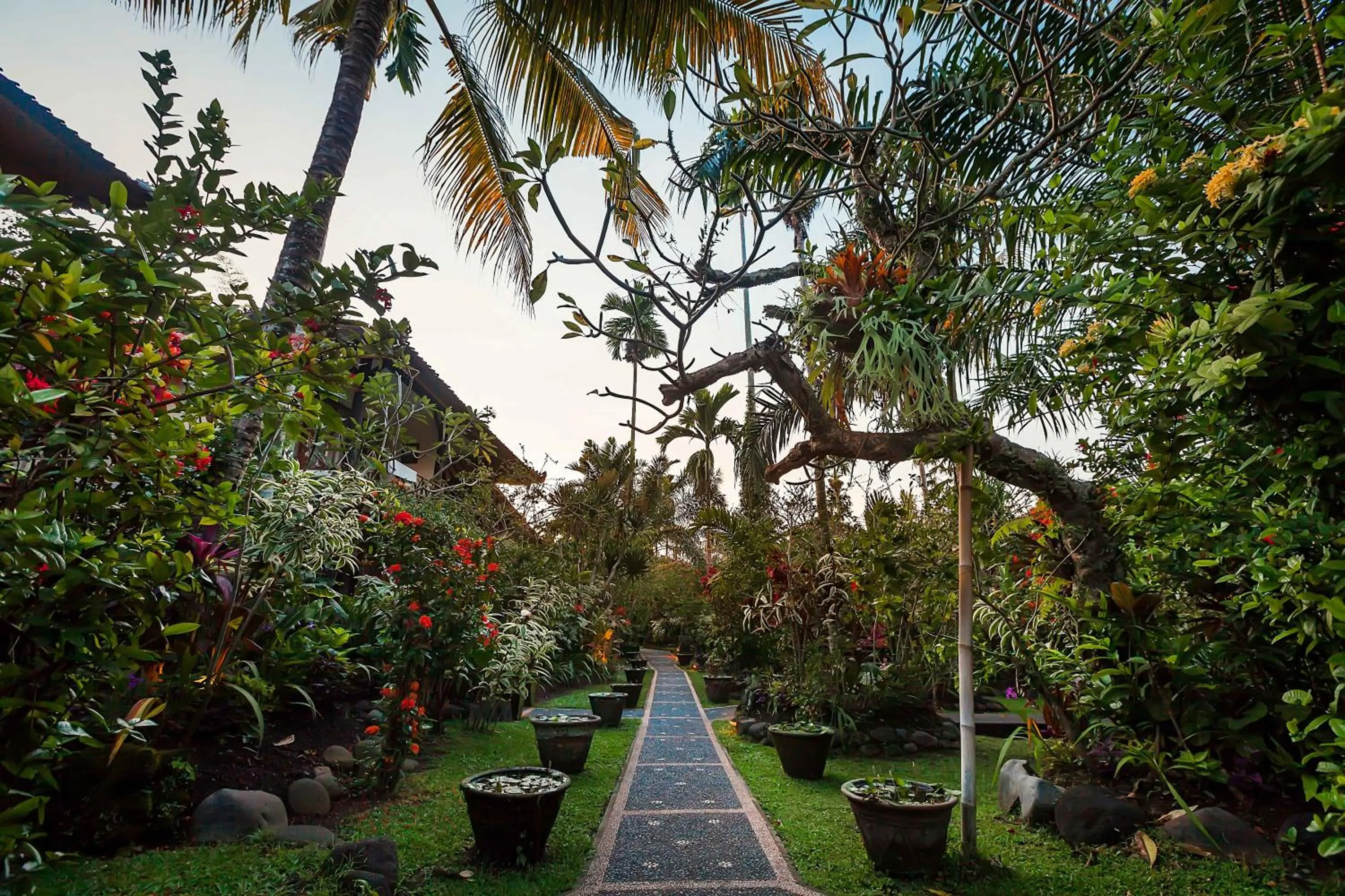 Natural landscape in Ubud Inn Cottage by Prasi