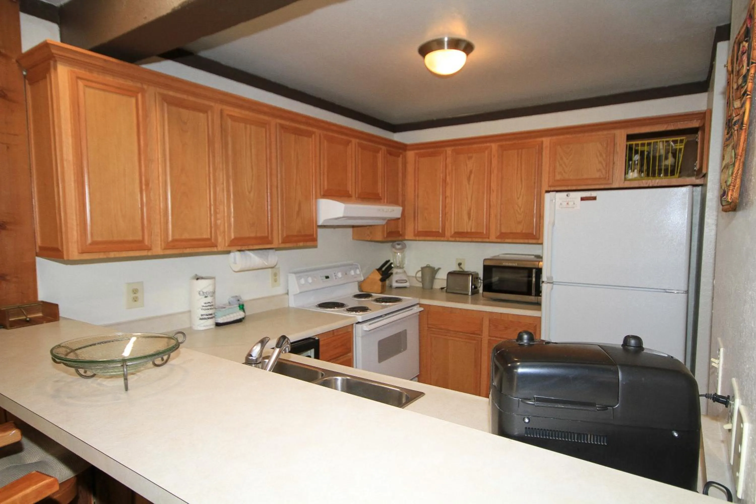 Mammoth Ski Racquet Club 120 - Pet Friendly