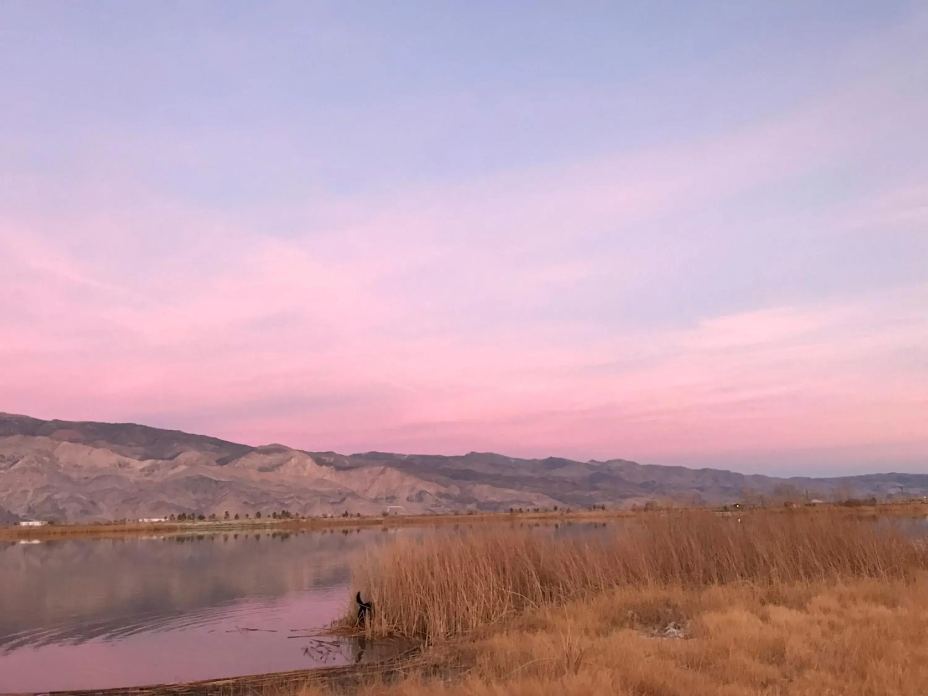 Mountainback #117, Loft Mountainback #117, Loft