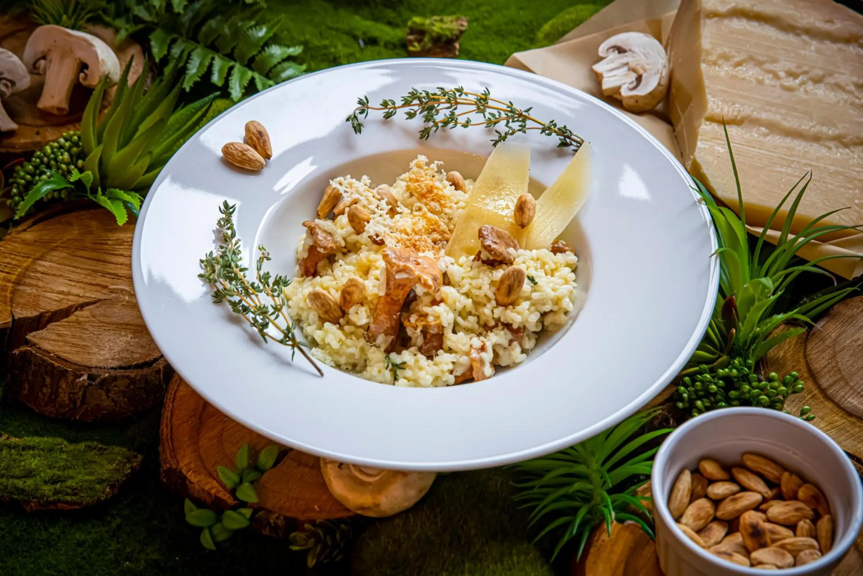 Restaurant/places to eat in Hotel SKI