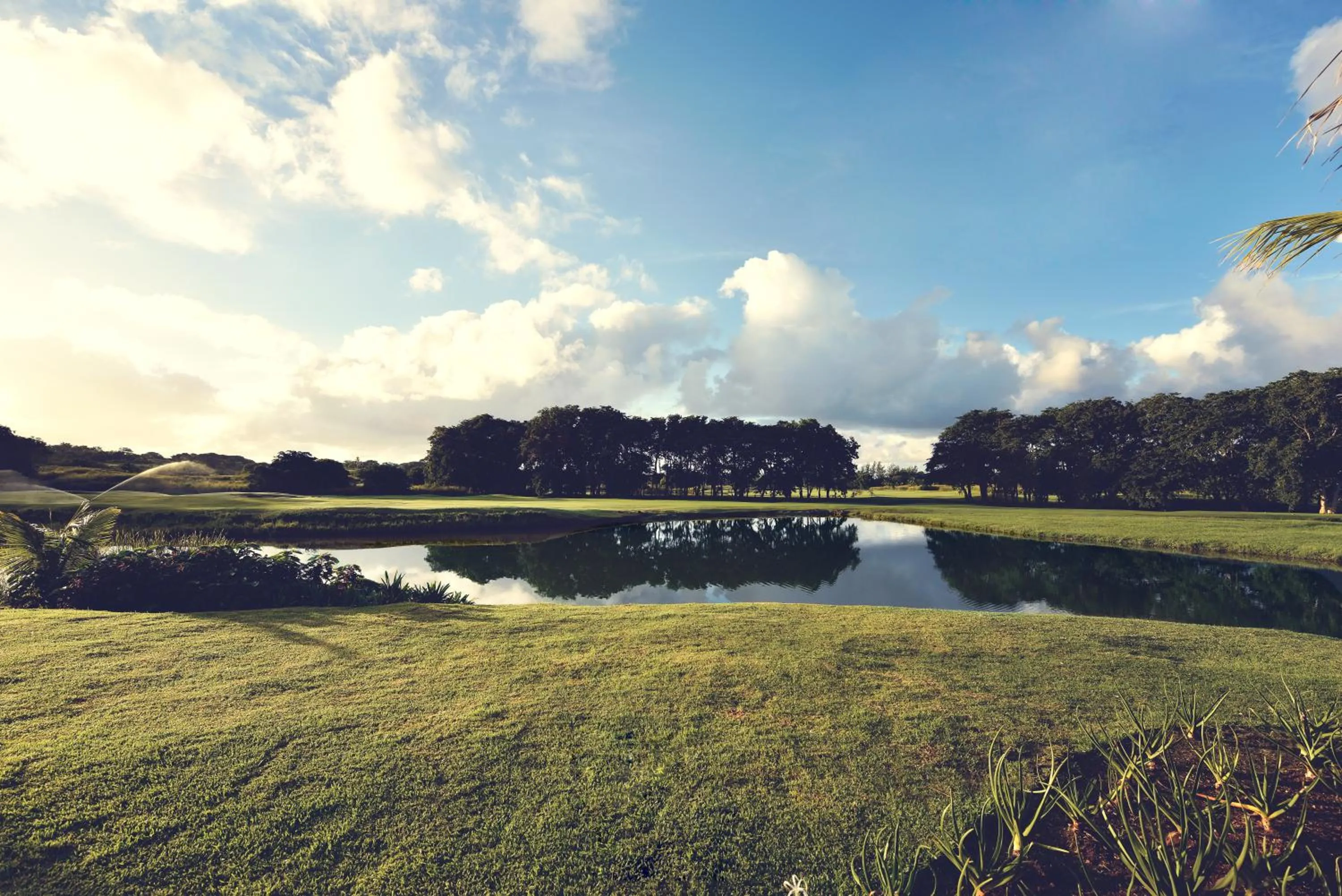 Pool view in Heritage The Villas