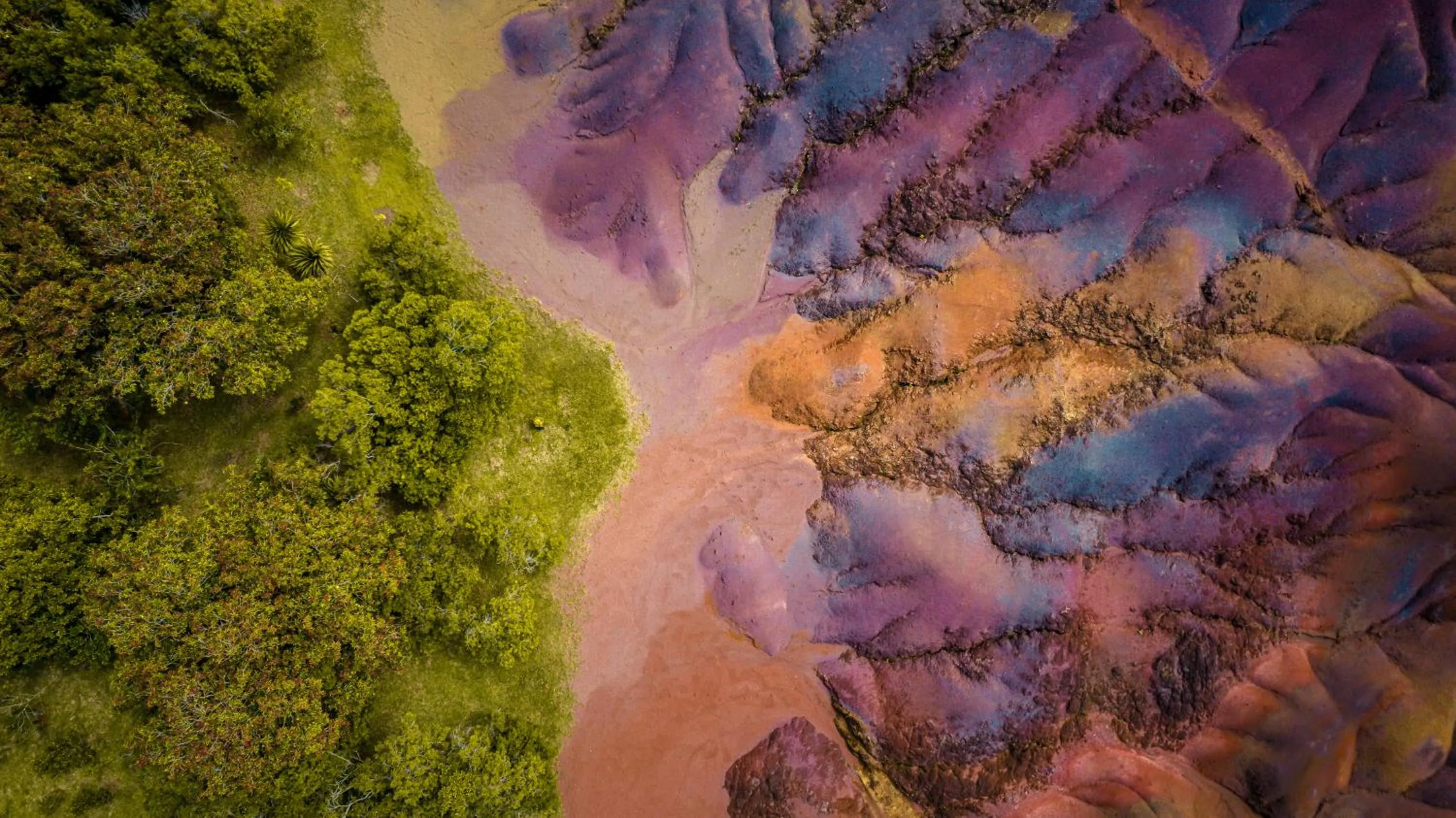 Natural landscape in Heritage The Villas