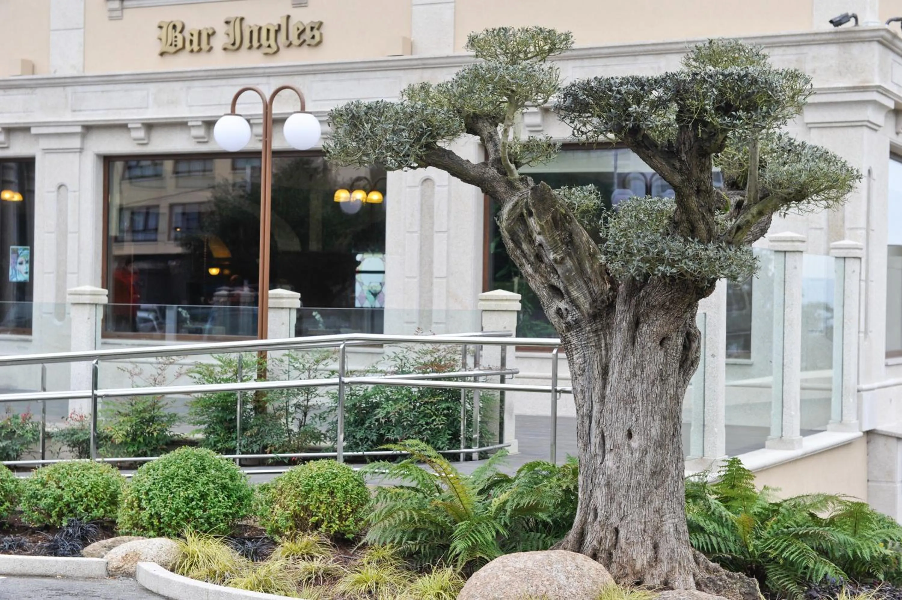 Garden in Hotel Os Olivos