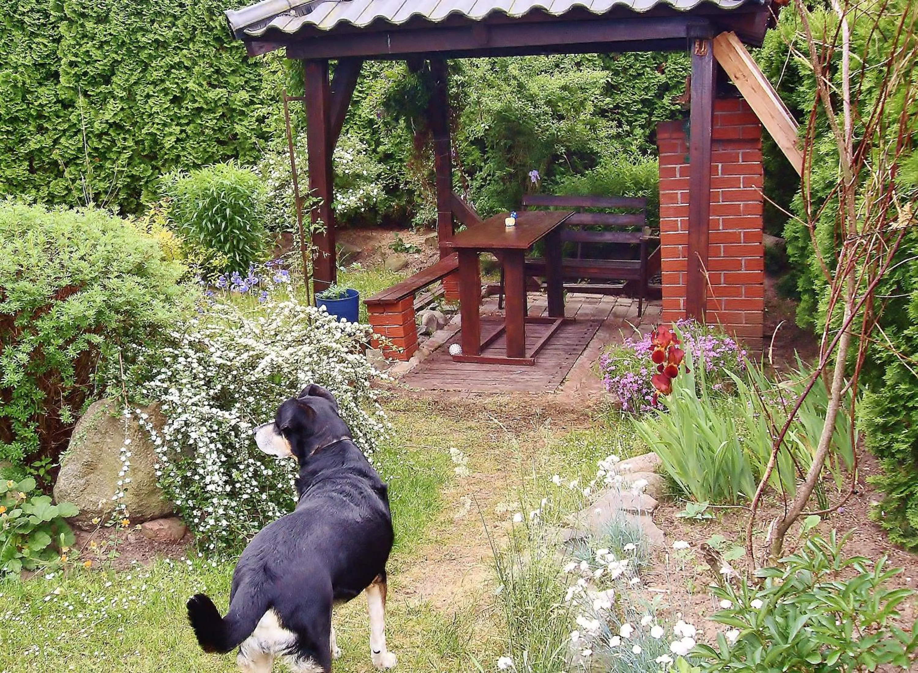 Activities in Willa Cyklada, grill, śniadania, jezioro,przystań,tawerna-200m, park linowy-400m, centrum,aquapark-900m