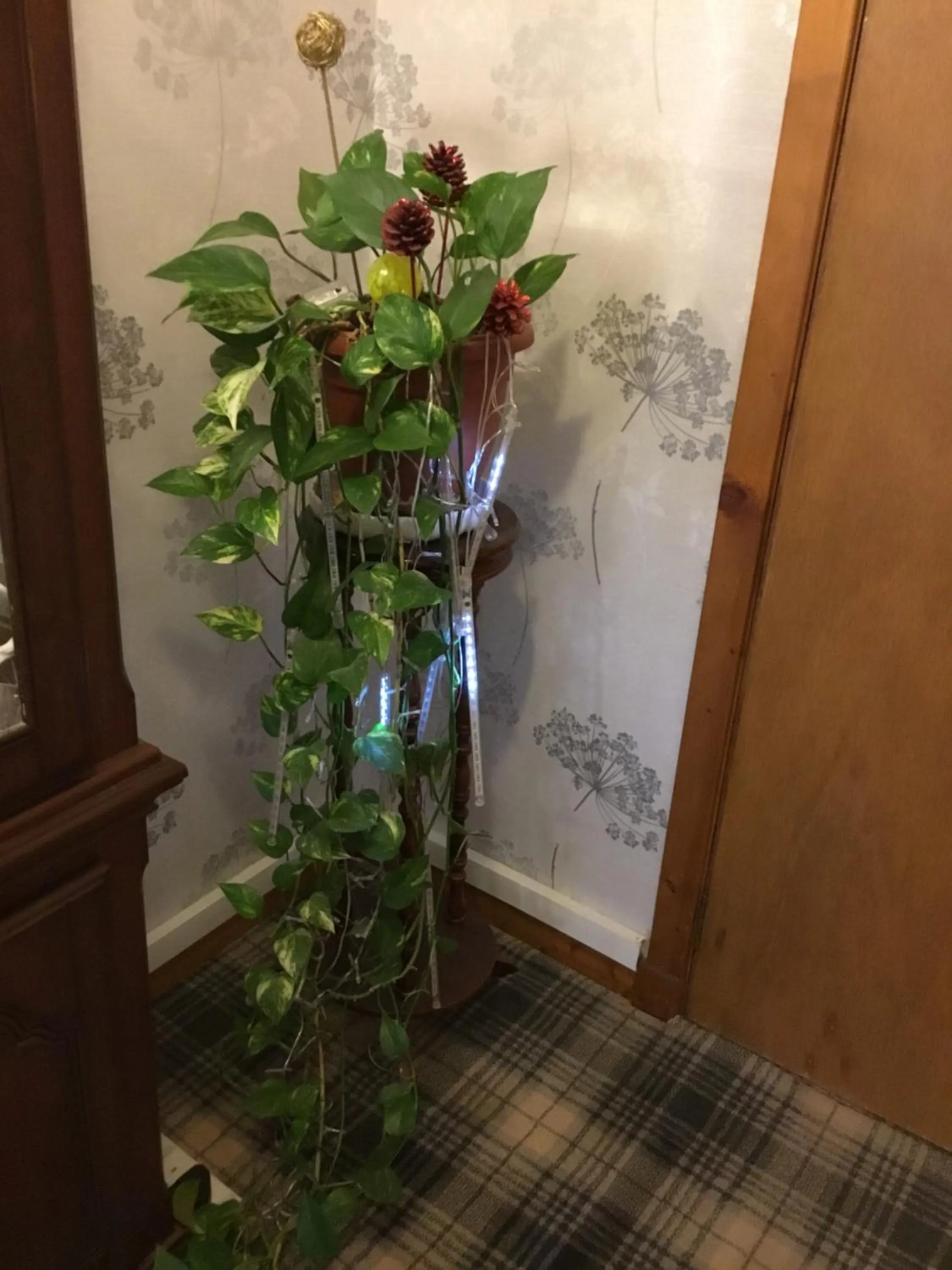 Alltonside Guest House