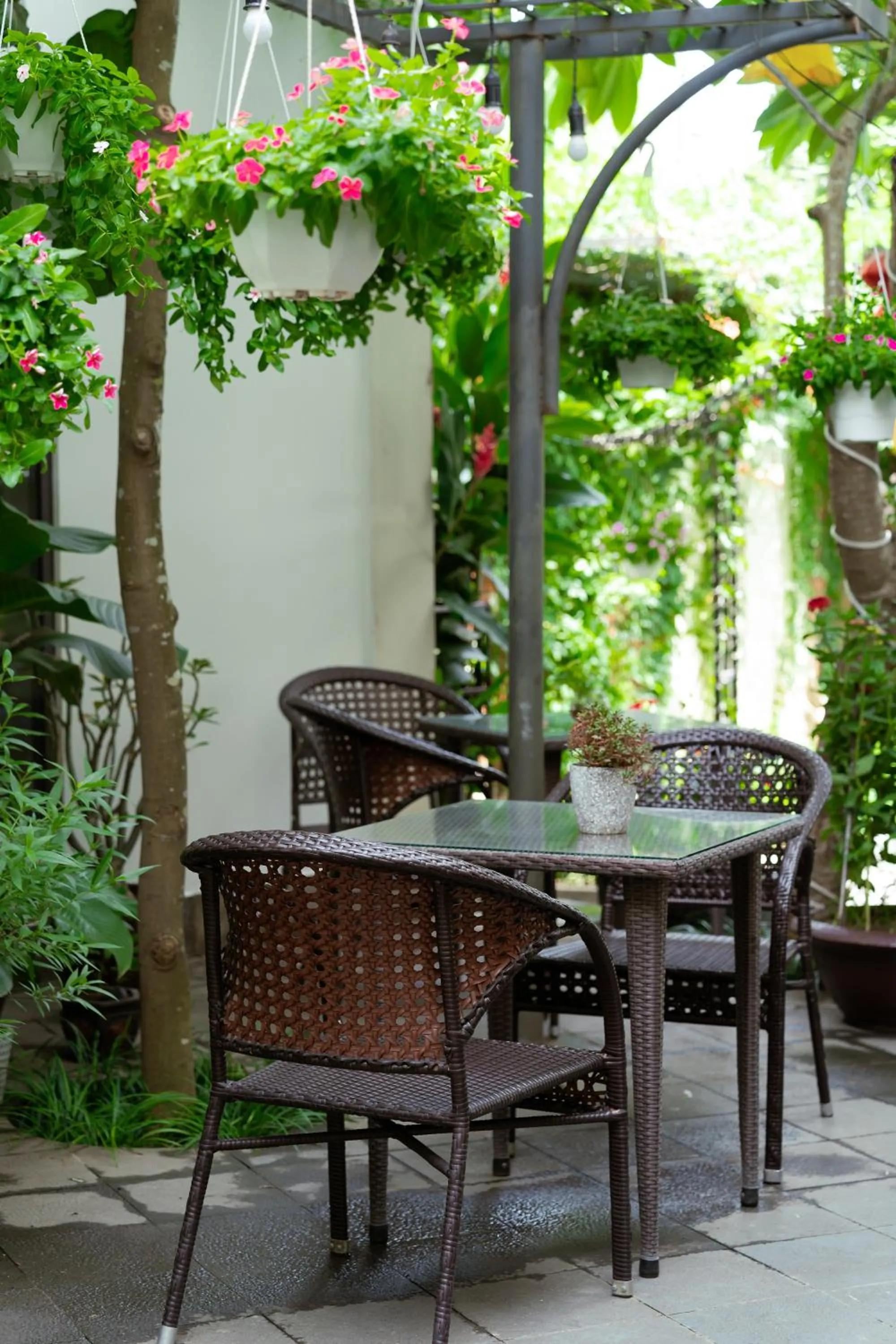 Garden in Laluna Hoi An Riverside Hotel & Spa