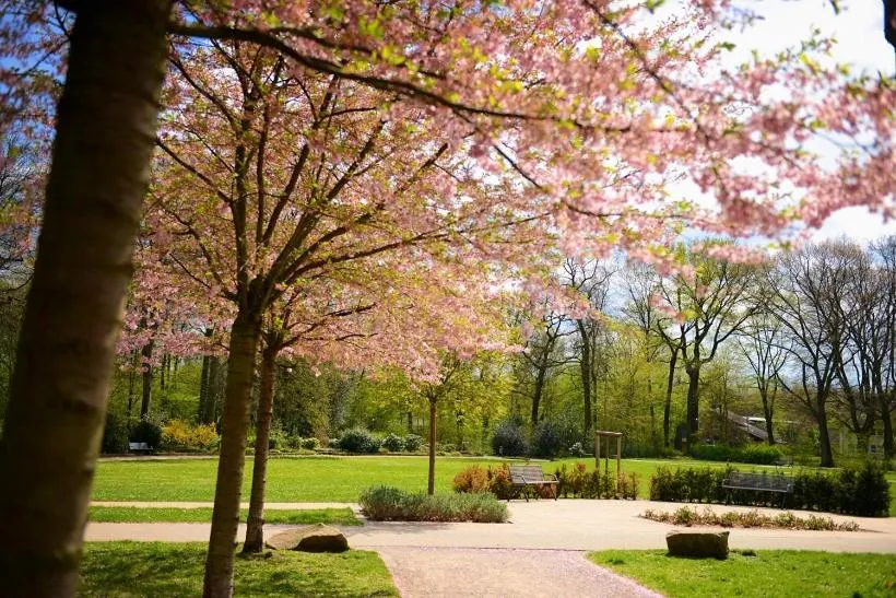 Garden in Parkhotel Herne