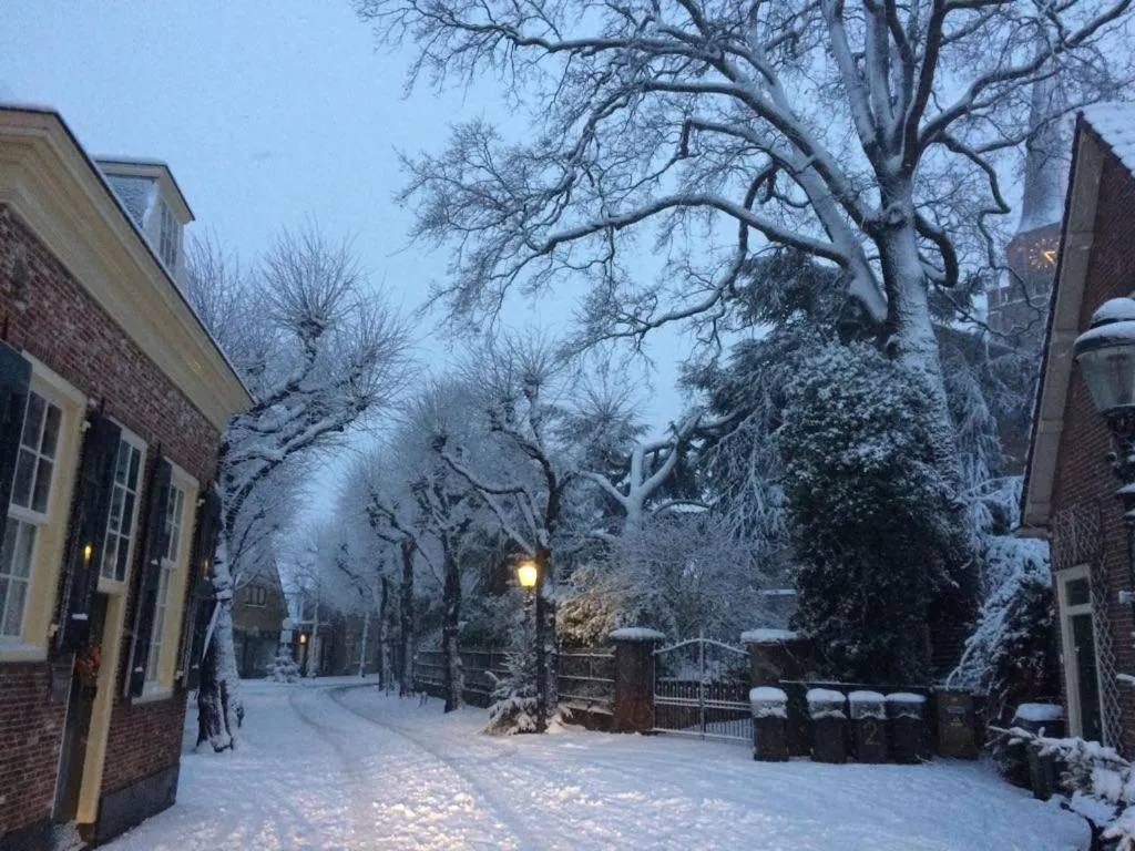 Winter in Genesis Voorschoten