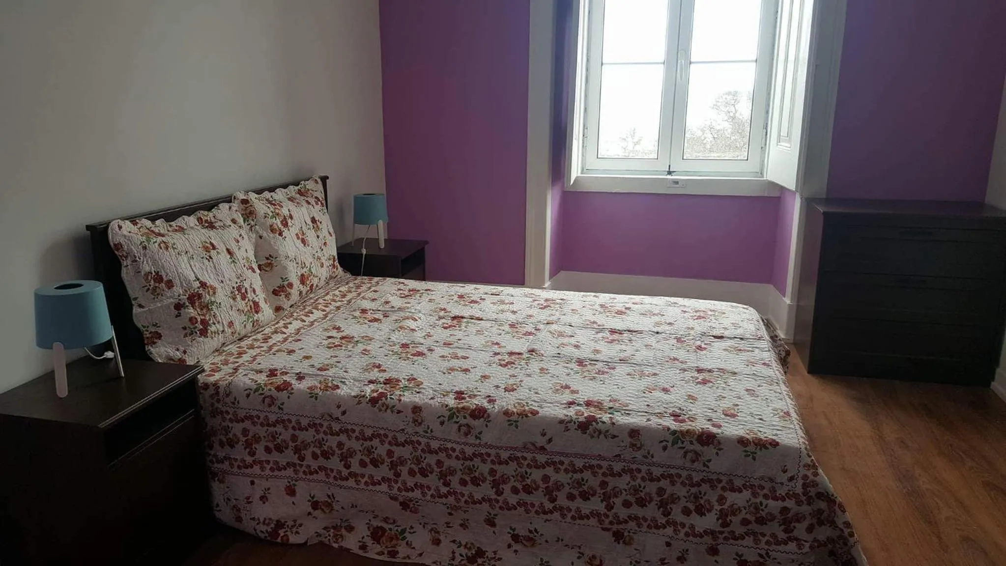 Bed in Cenário Catita Hostel