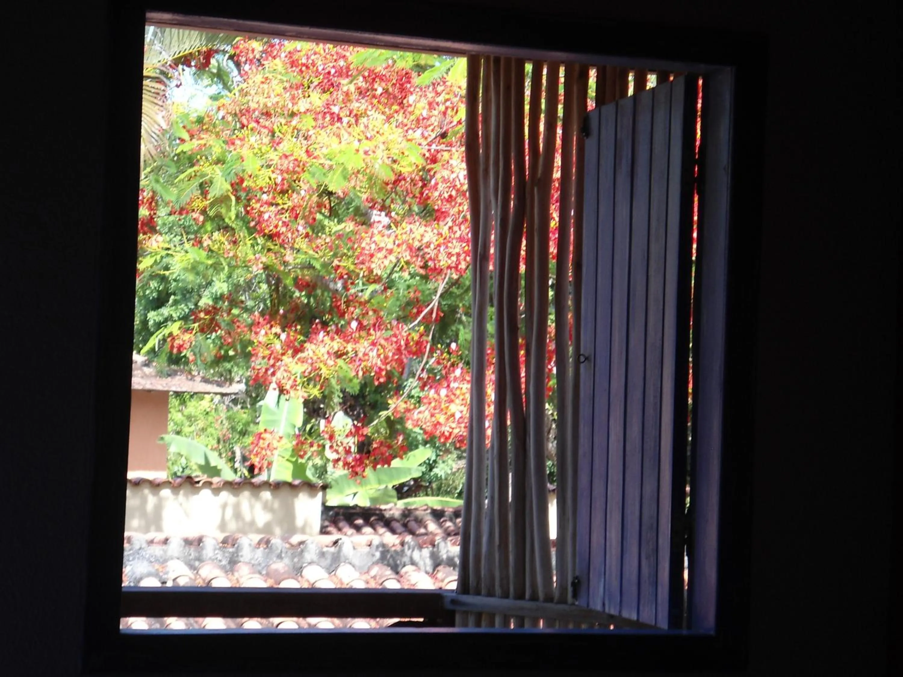 Garden view in Pousada Varanda do Sol