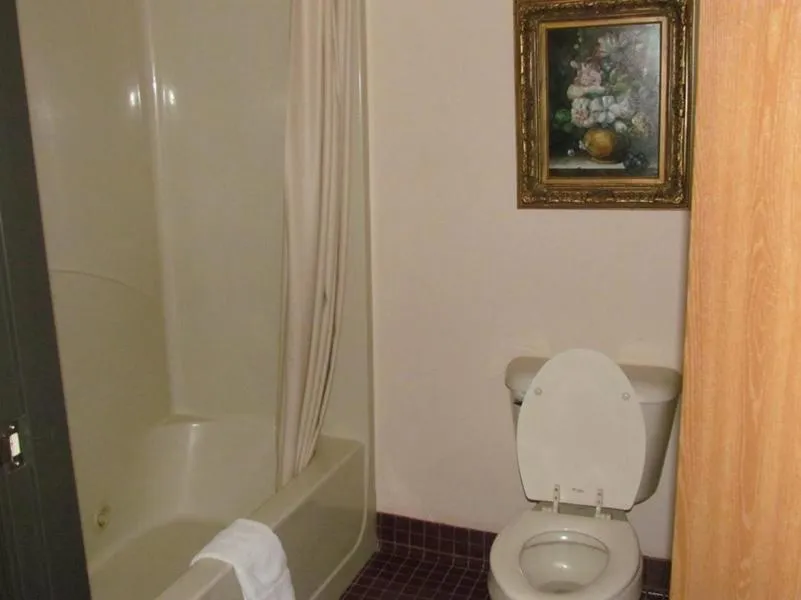 Bathroom in Western Inn & Suites Hampton