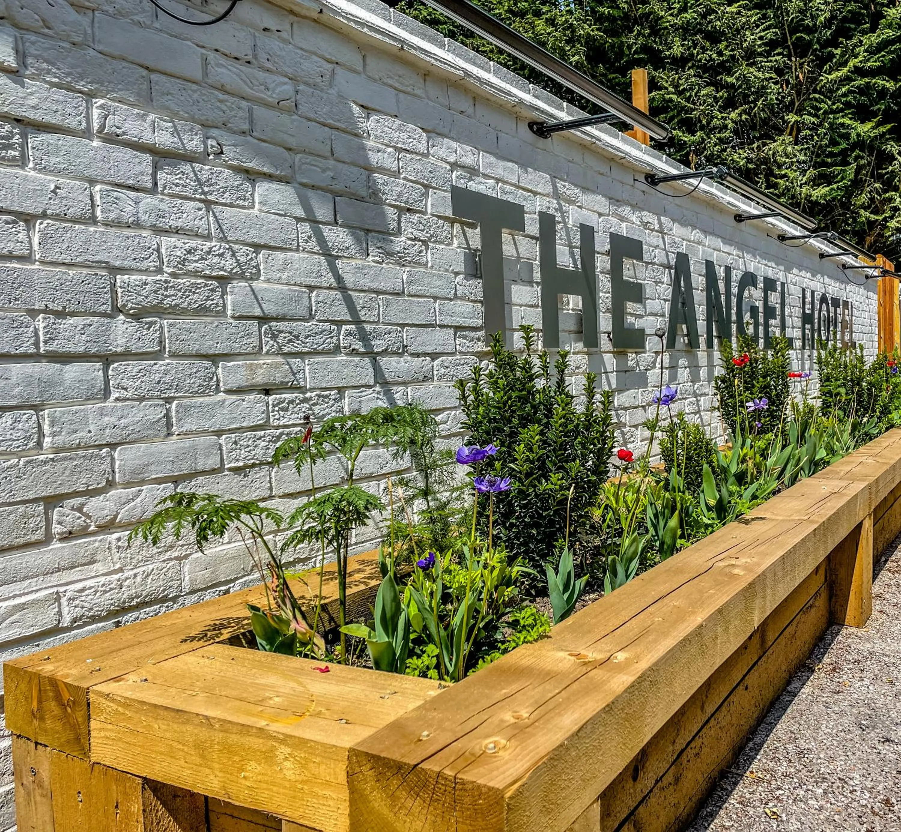 Garden in The Angel Hotel