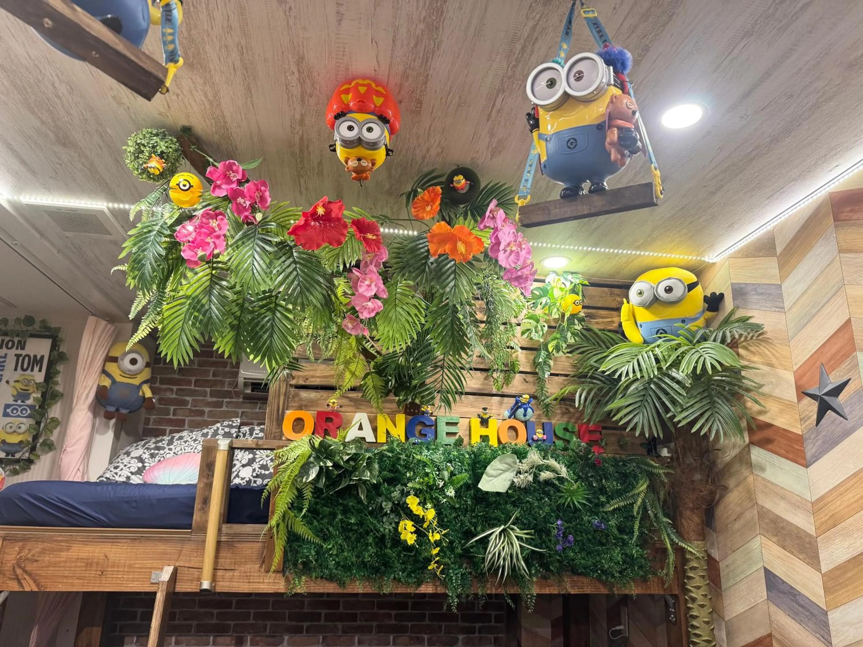 bunk bed in Hotel Orange House