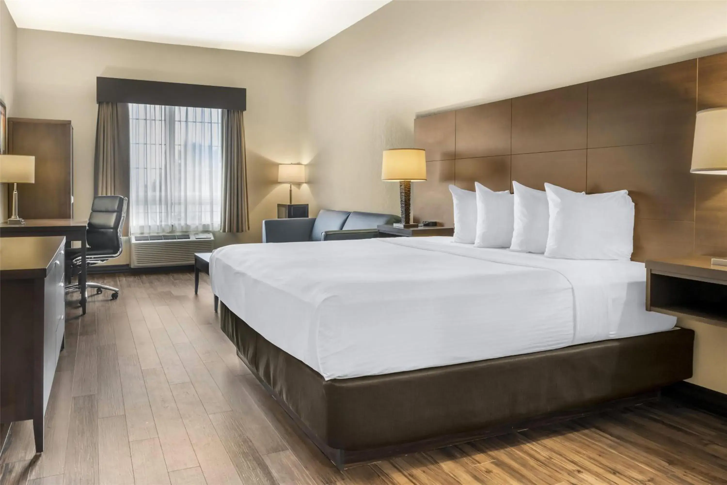 King Room with Sofa Bed - Non-Smoking in BEST WESTERN PLUS Saint John Hotel & Suites King Room with Sofa Bed - Non-Smoking in BEST WESTERN PLUS Saint John Hotel & Suites