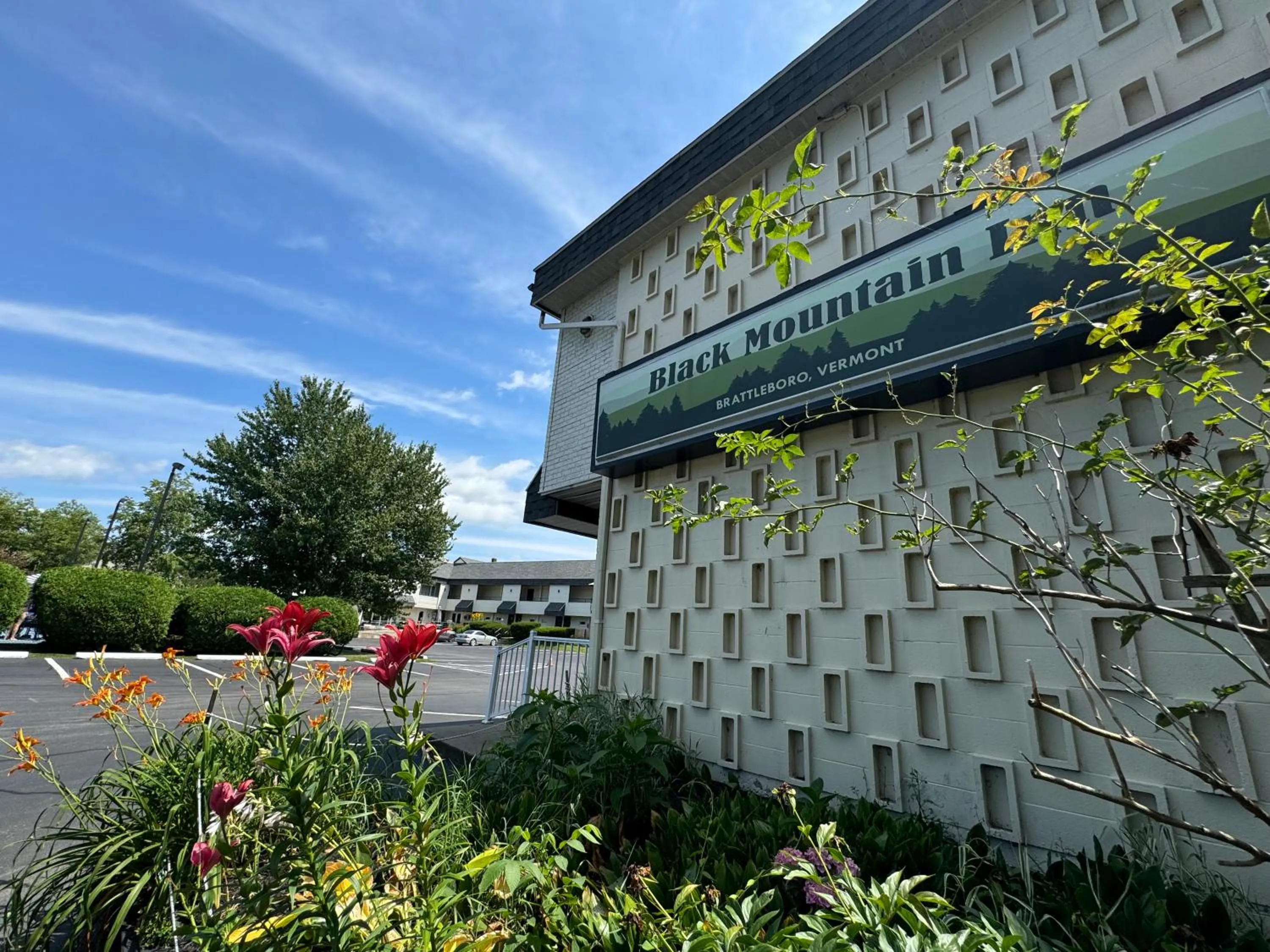 Garden view in The Black Mountain Inn