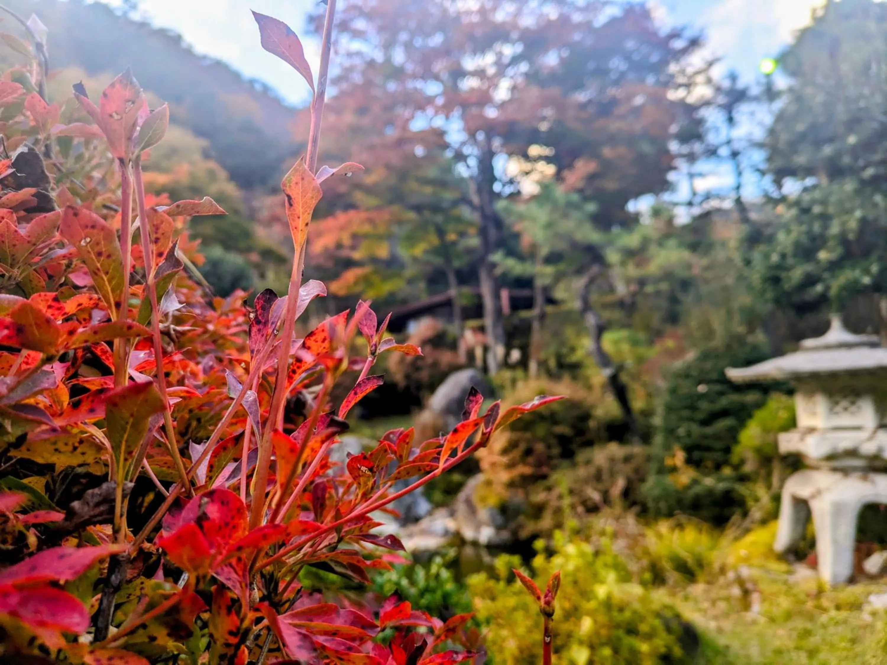 Garden in Itoen Hotel Shima