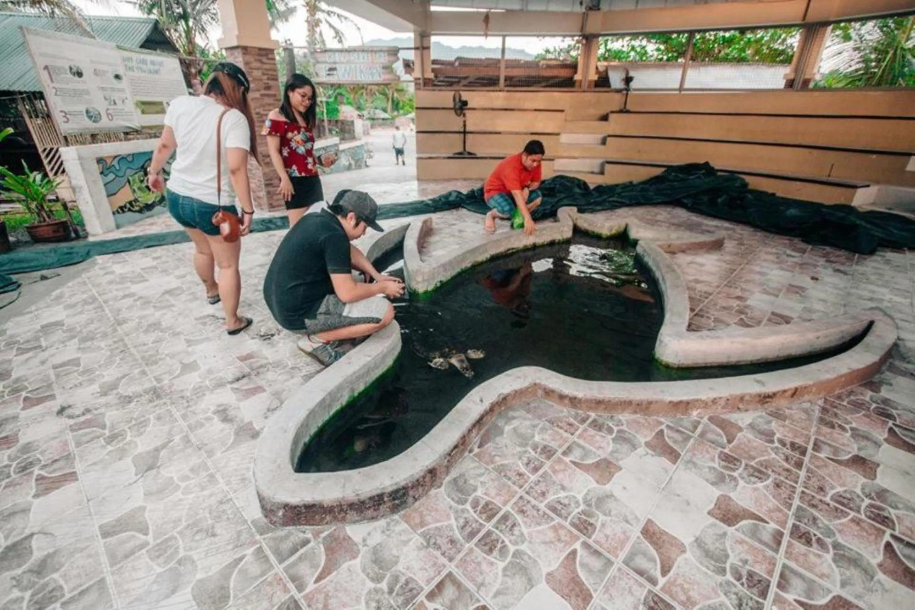 Property building in Brisa Marina Beach Resort powered by Cocotel