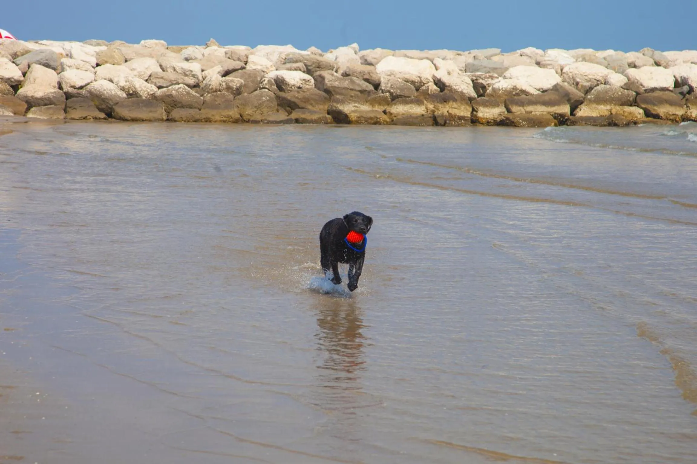 Activities in Camping Village Cavallino