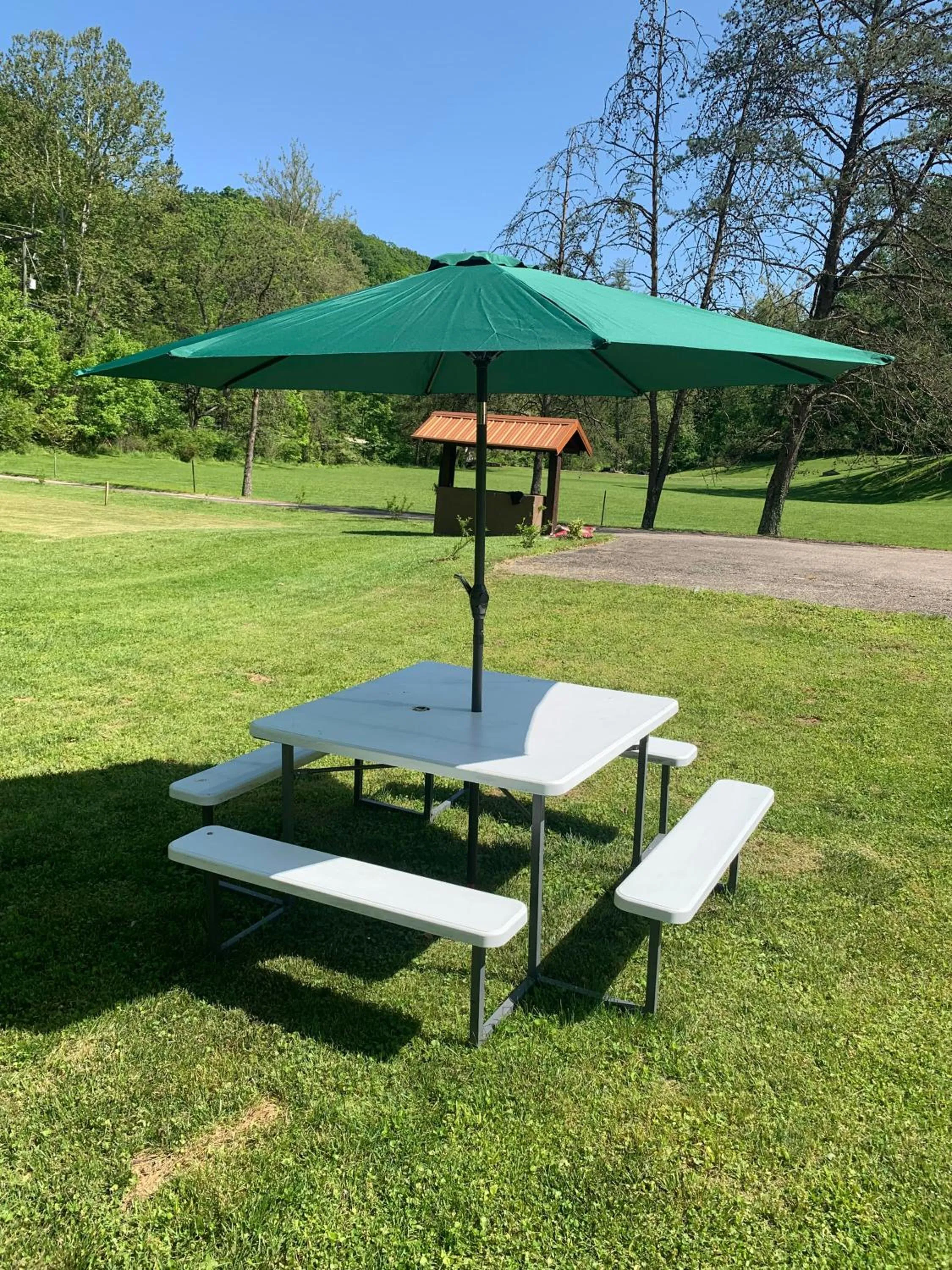 Spring in Log Cabin in the Field