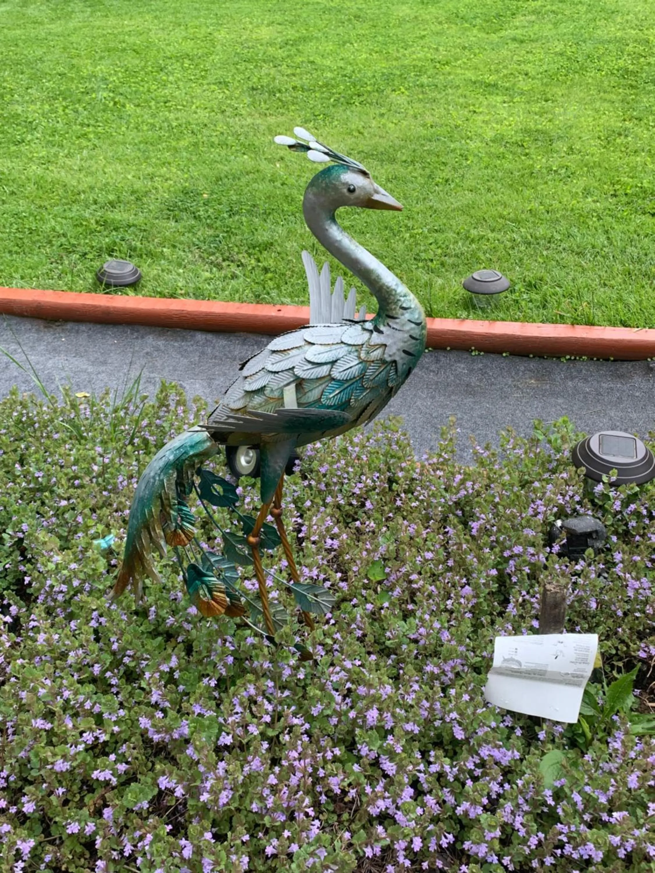 Garden in Log Cabin in the Field