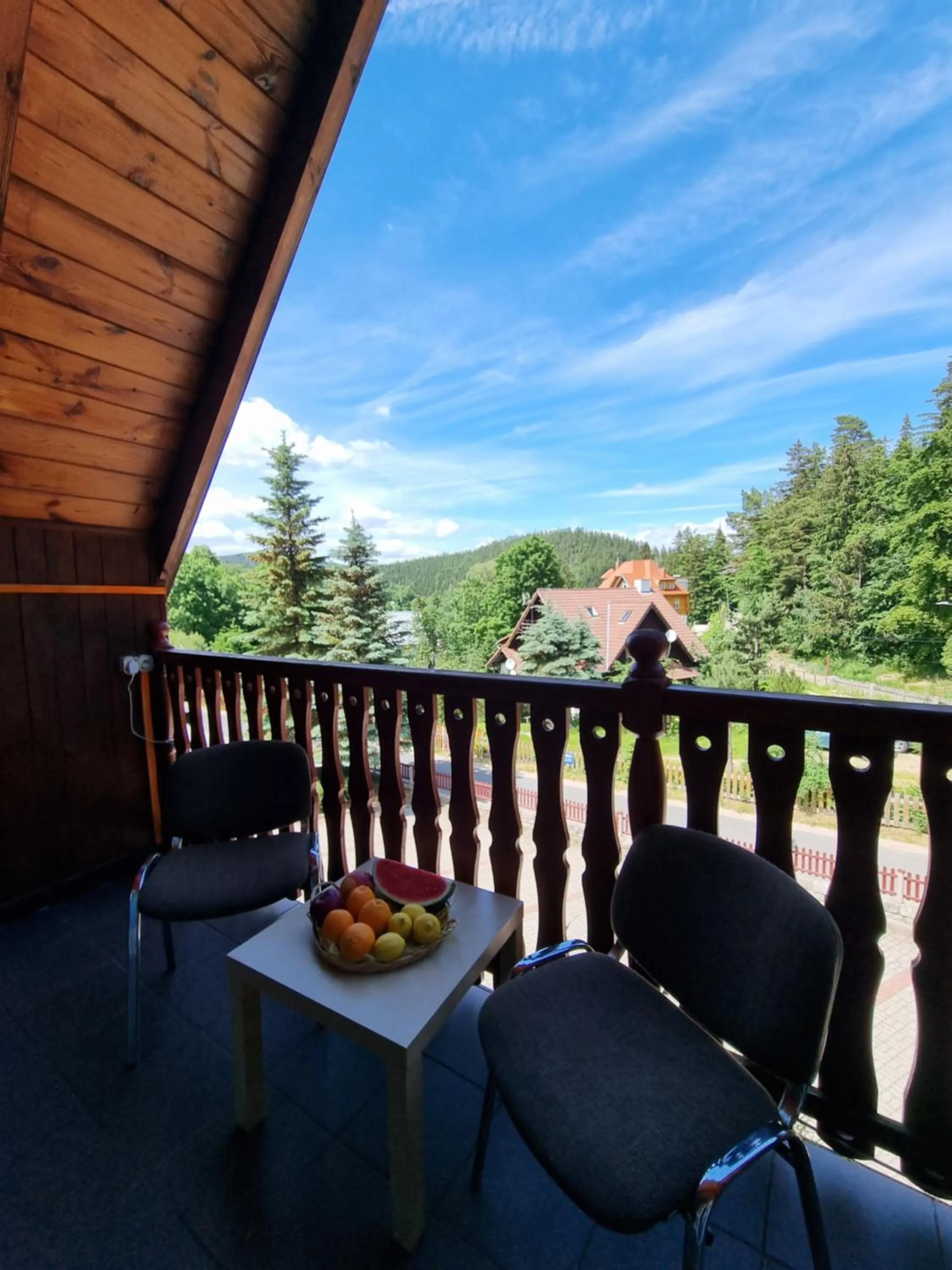 Balcony/Terrace in Hotel Karkonosze