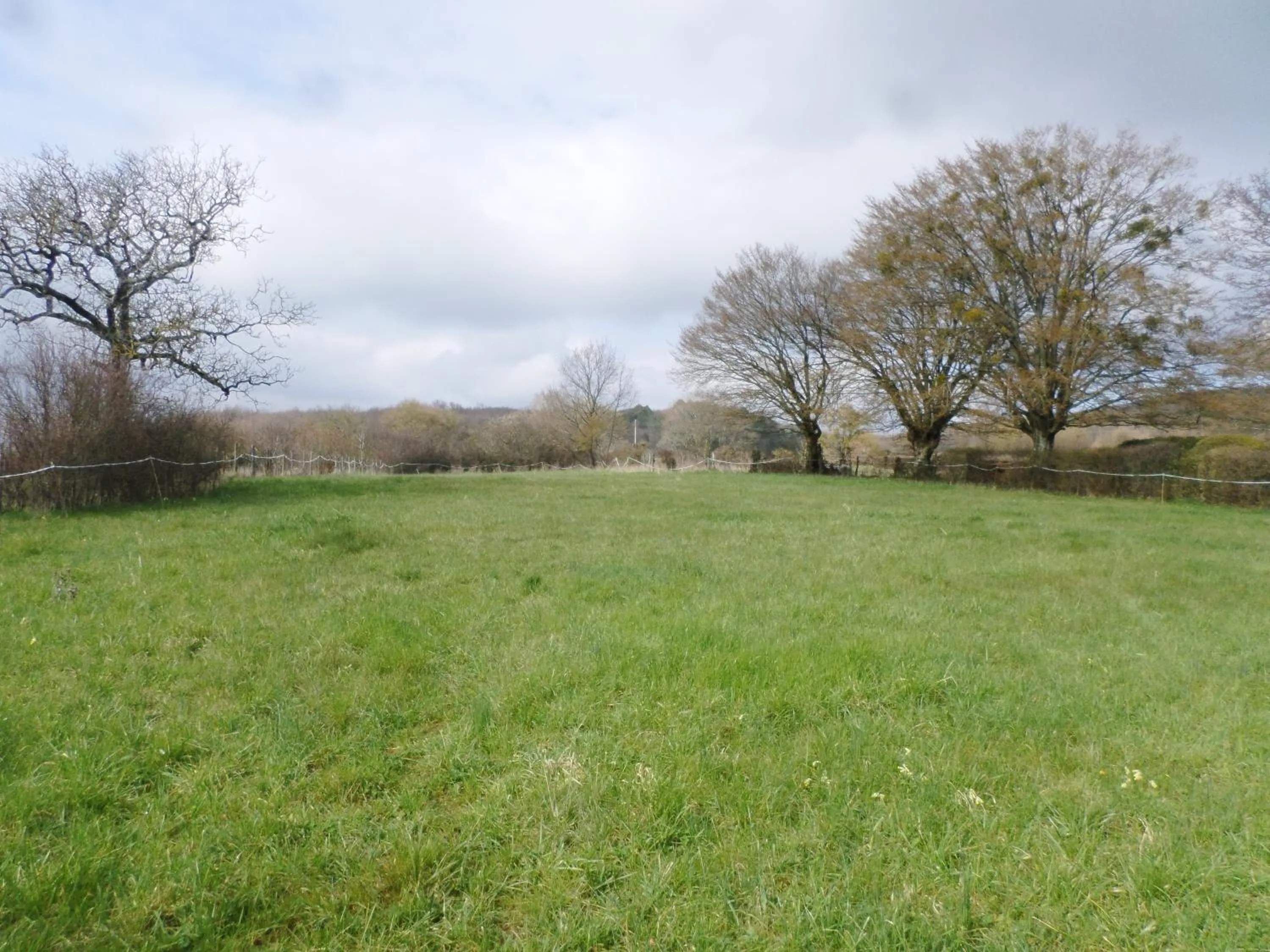 Food and drinks in Les Marronniers