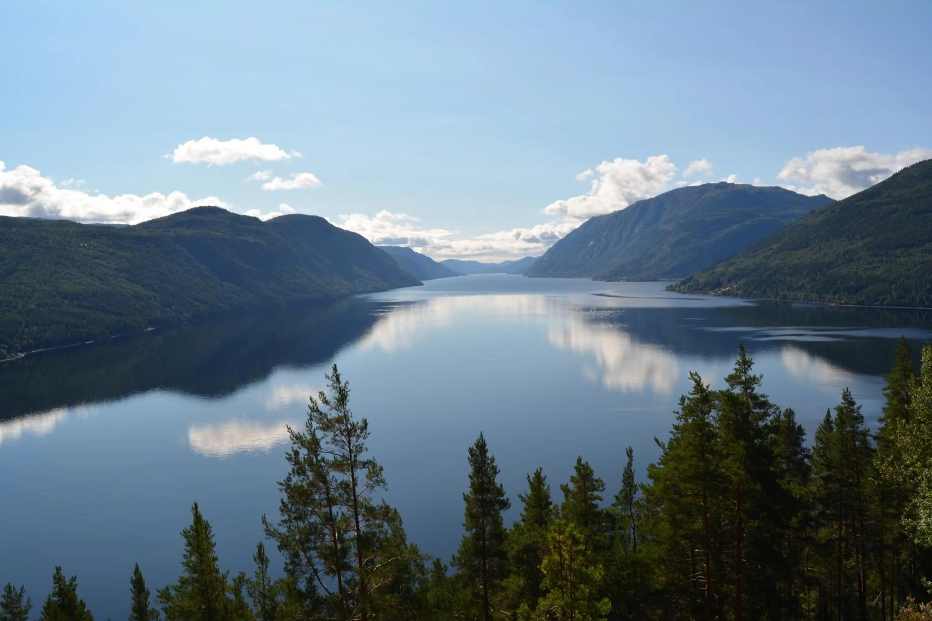 Natural landscape in Sandviken Camping