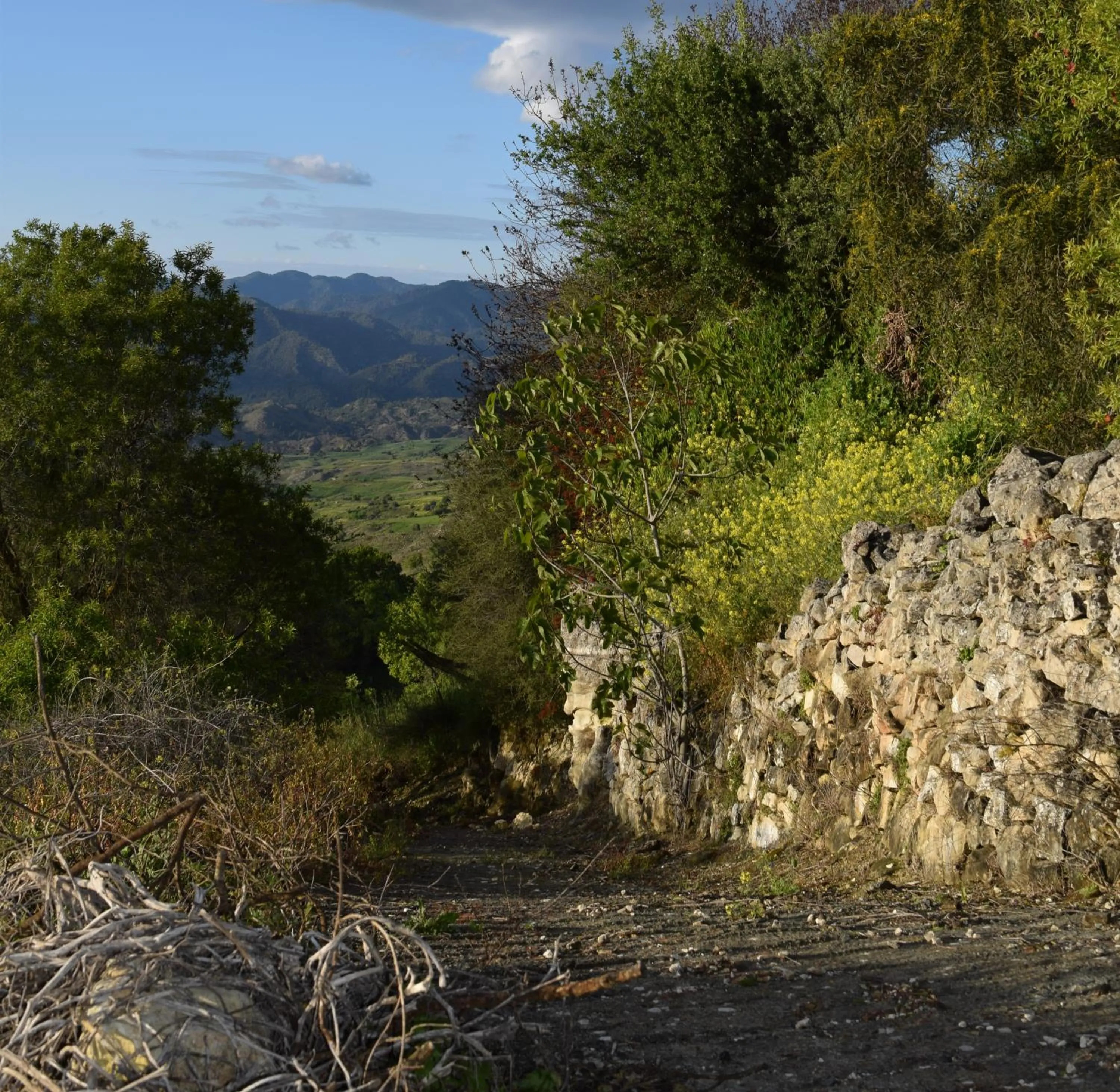 Natural landscape in Lasa Heights Hotel