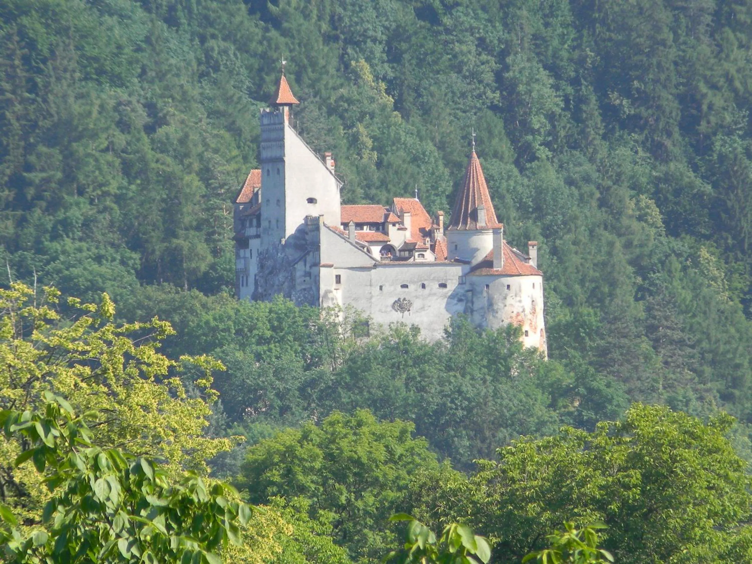 Natural landscape in Transylvanian Inn