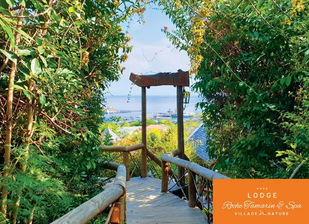 View (from property/room) in Lodge Roche Tamarin