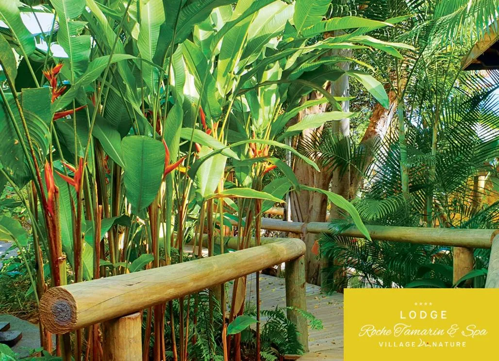 View (from property/room) in Lodge Roche Tamarin