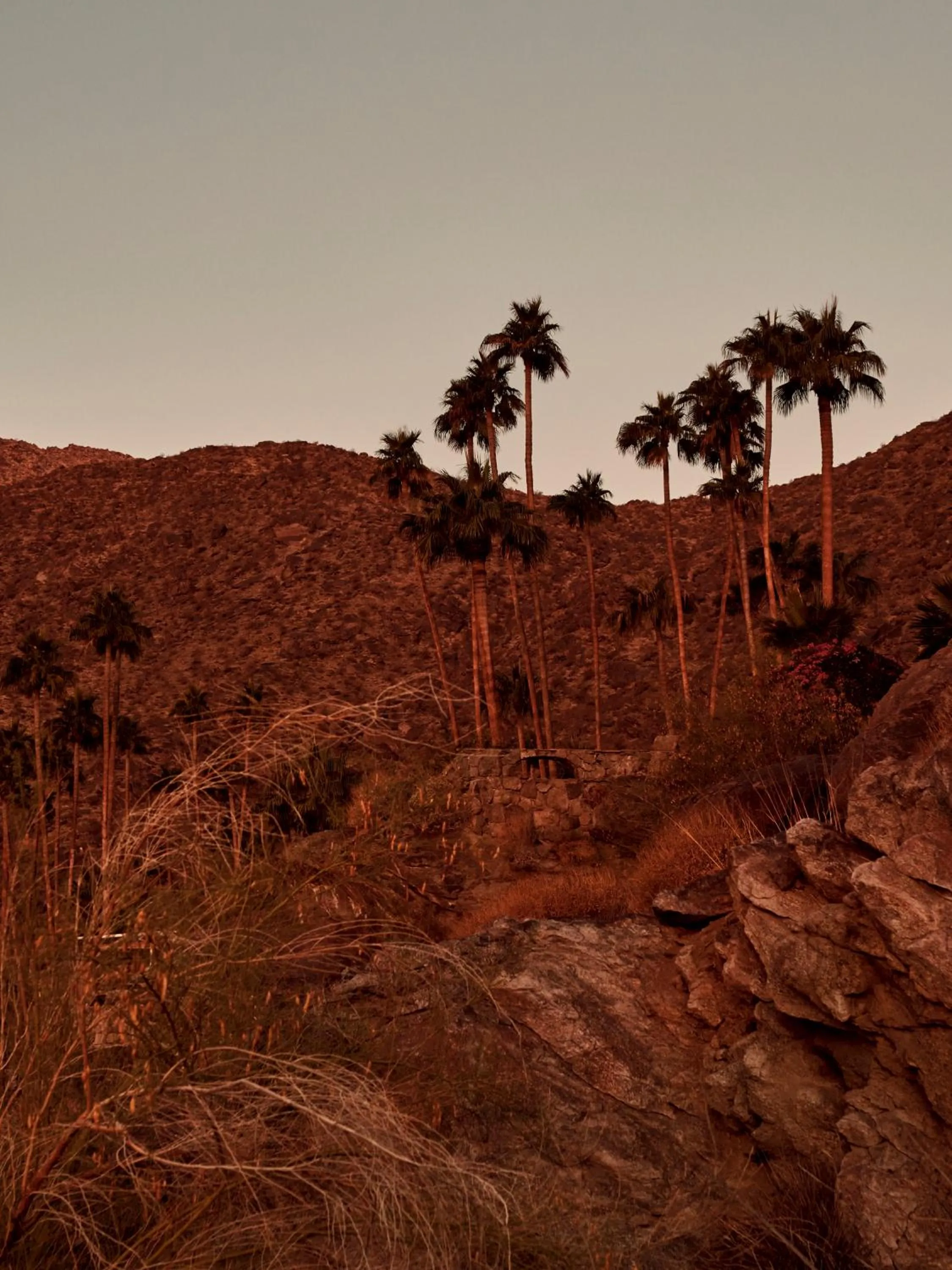 The Willows Palm Springs