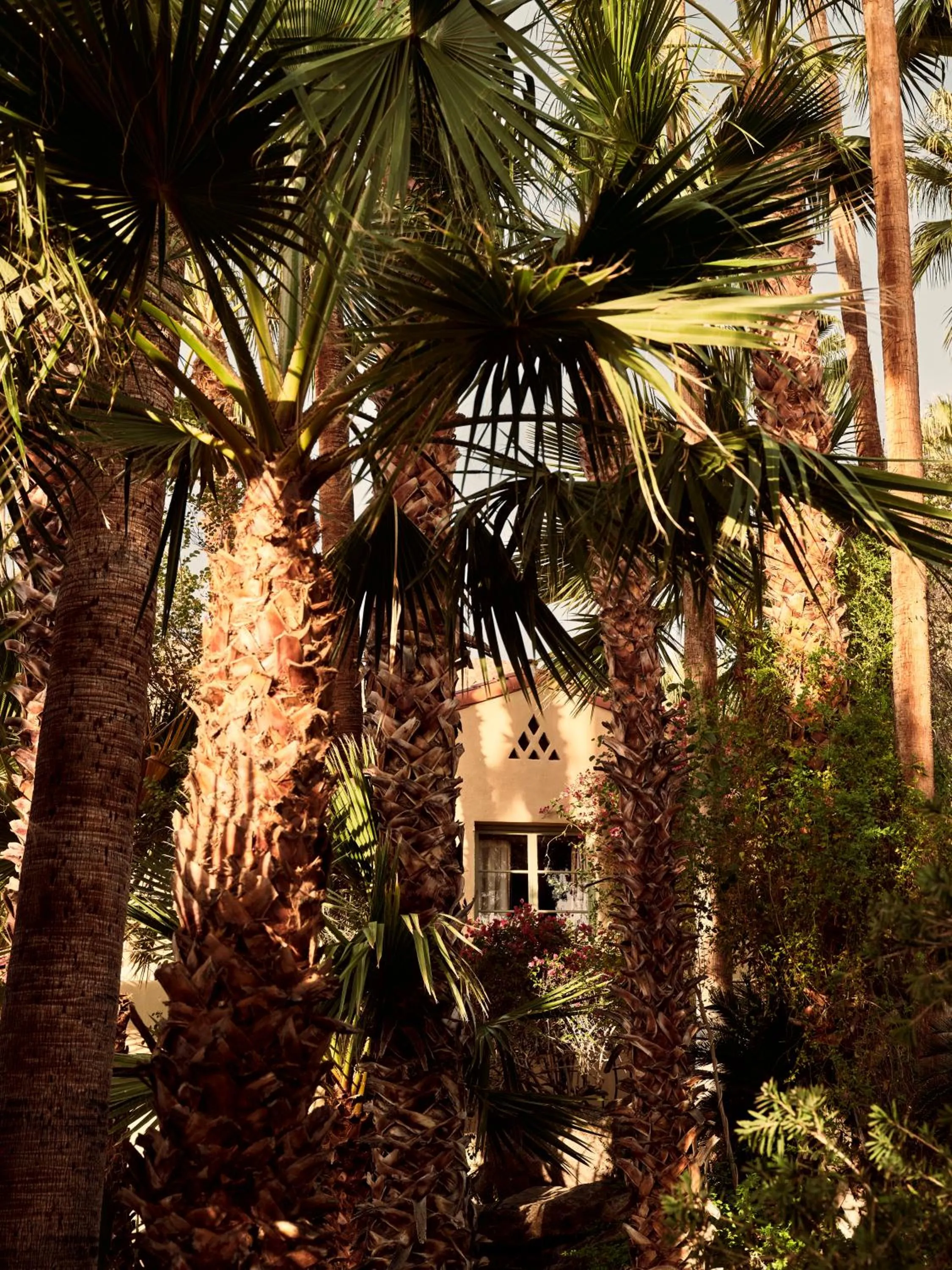 Property building in The Willows Palm Springs