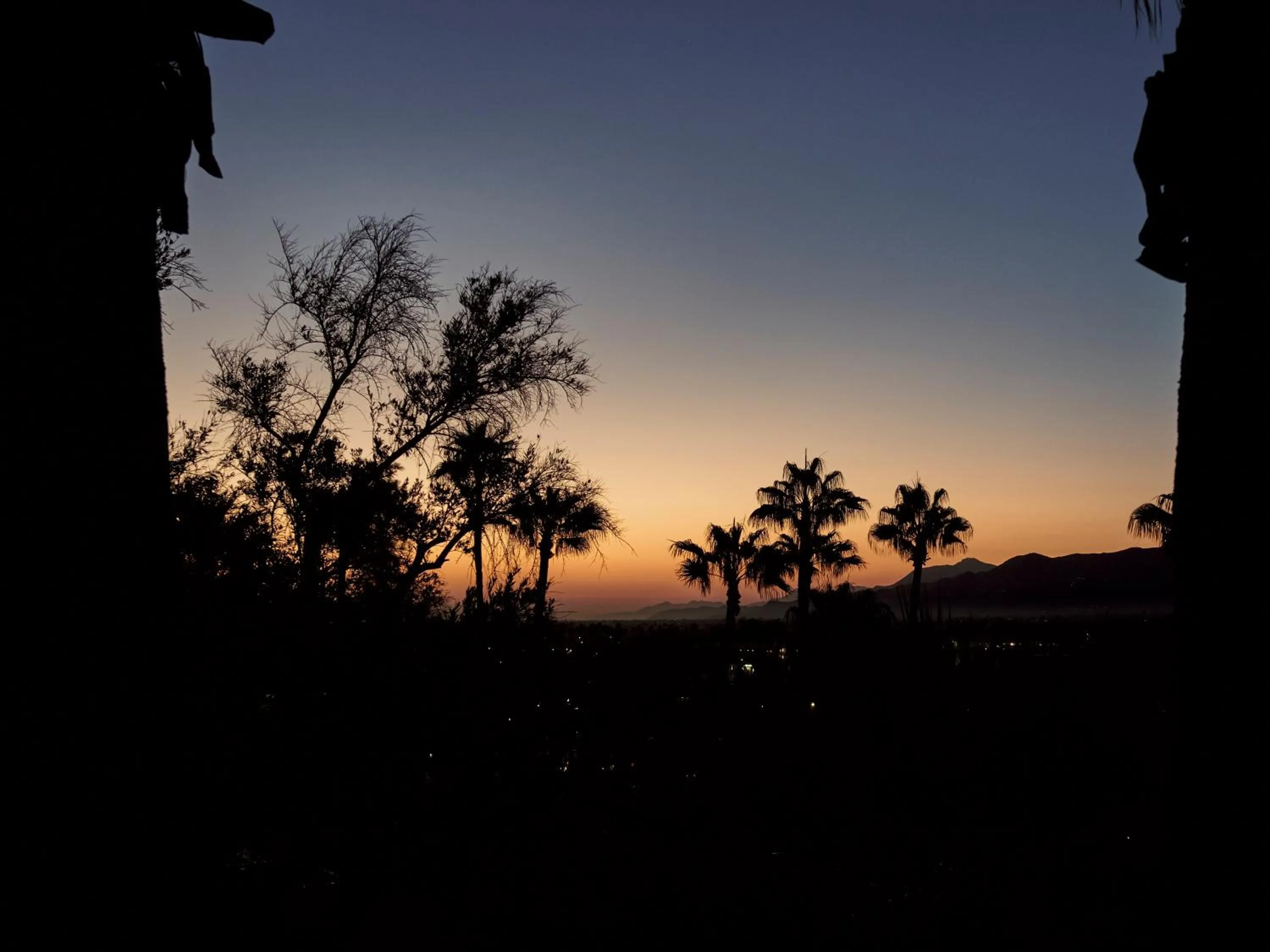 The Willows Palm Springs