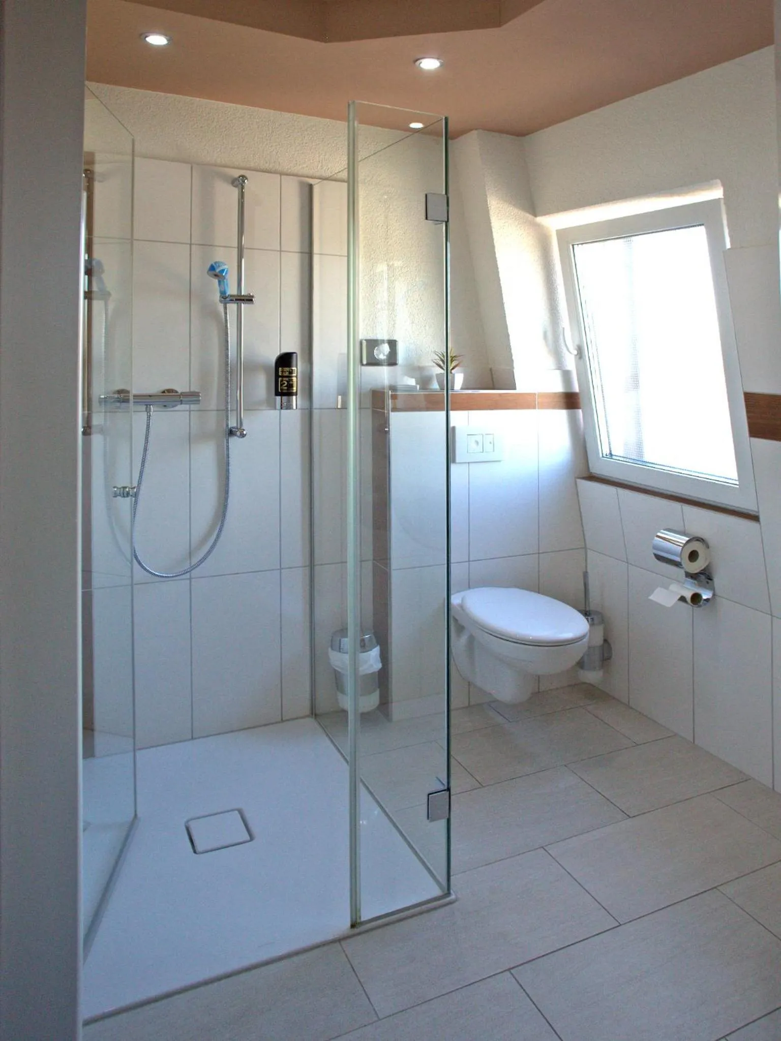 Shower in Hotel Zum Wersehof