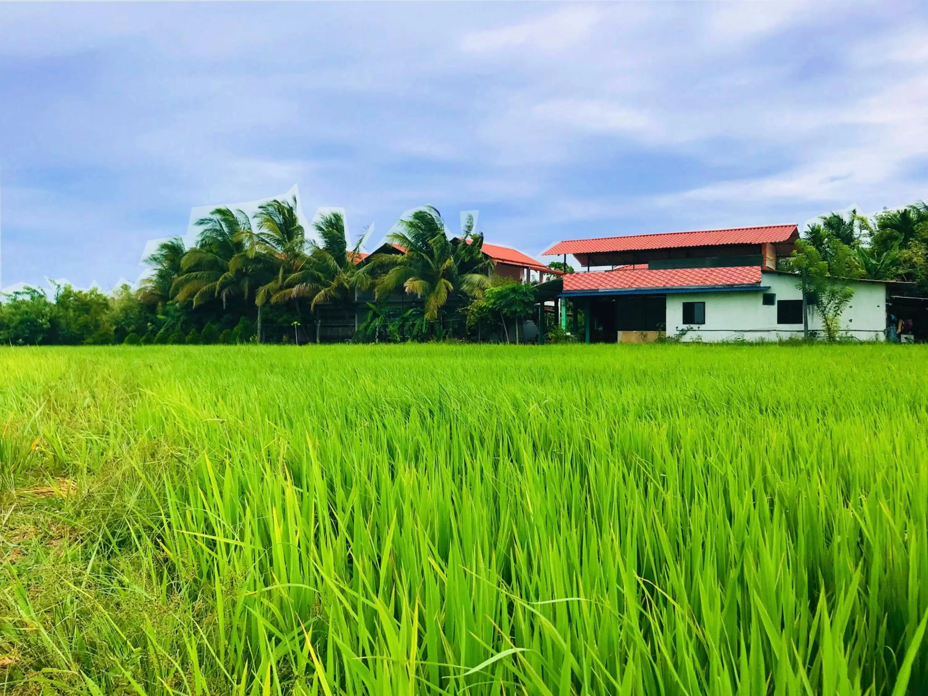 Property building in Rivonway Hotel Polonnaruwa